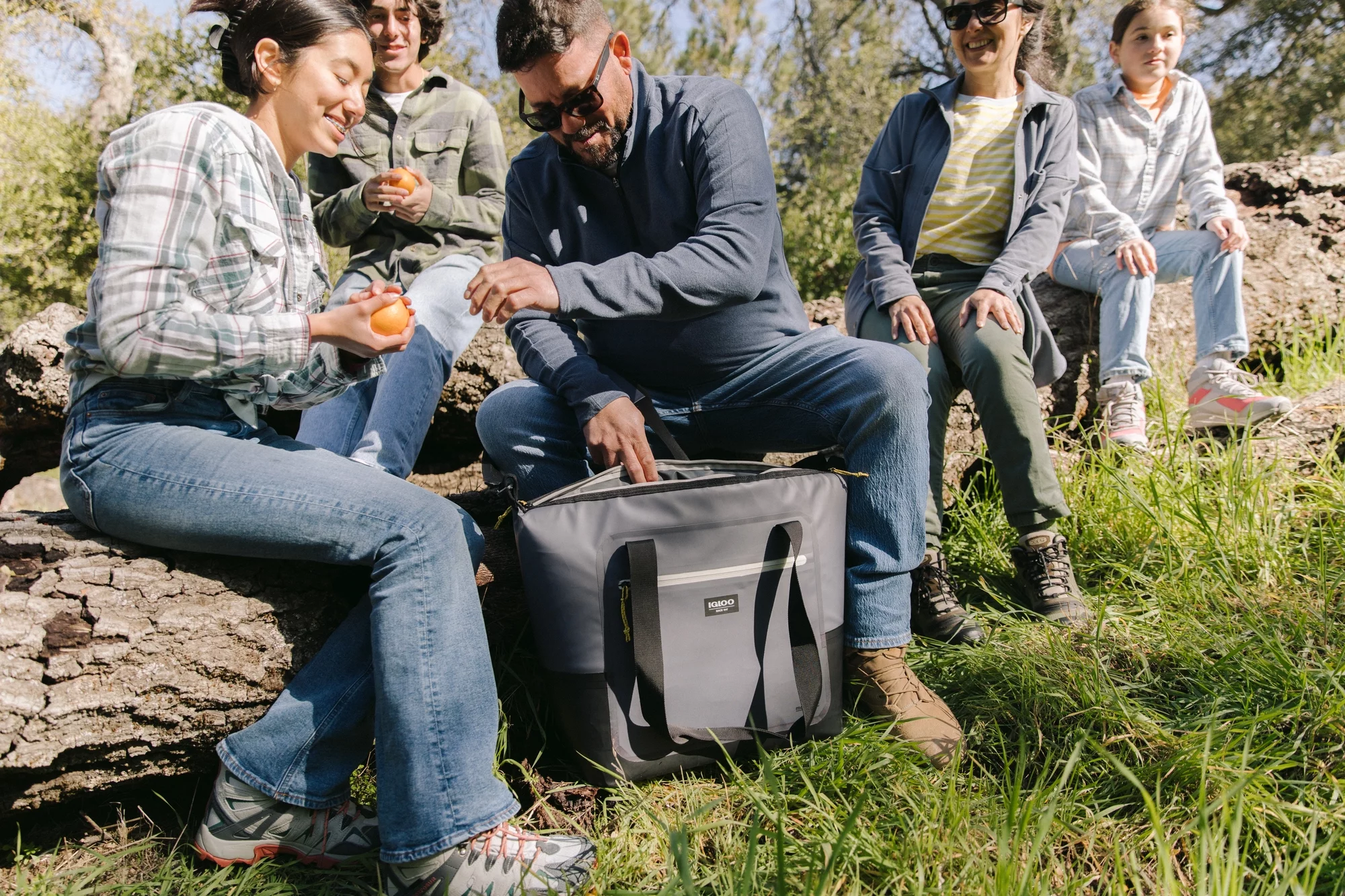 Igloo 28 cans Overland Tote Soft Sided Cooler, Gray