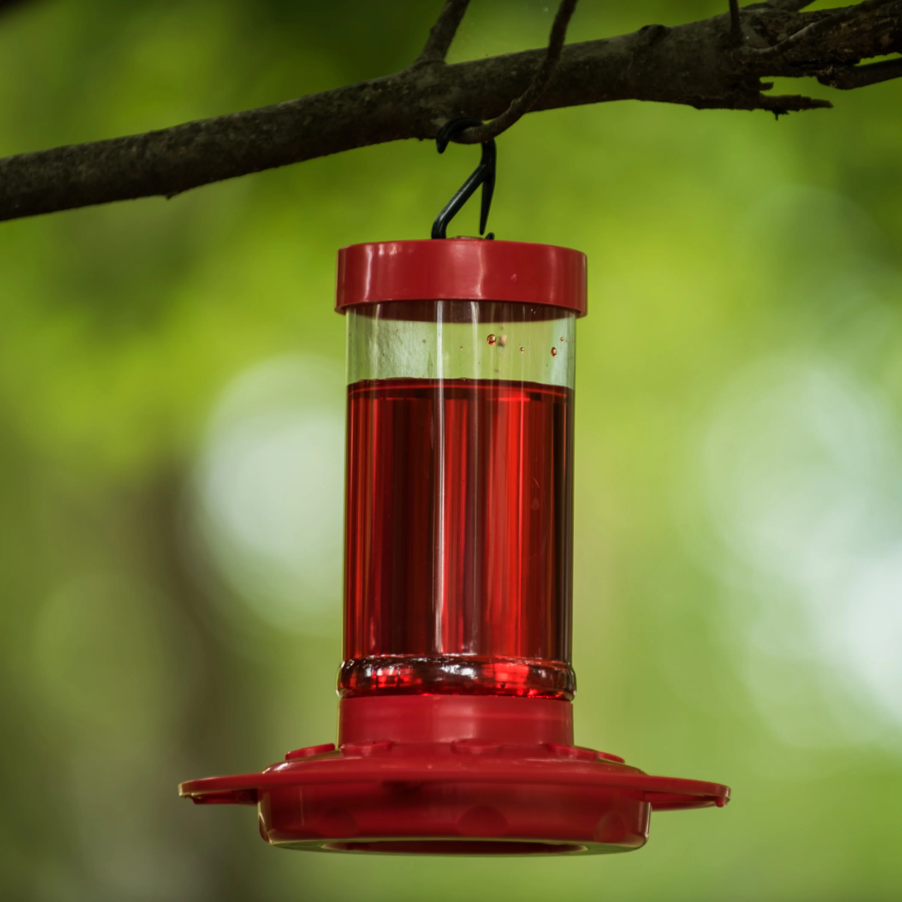 First Nature Hummingbird Feeder, 16 oz, Red, Plastic