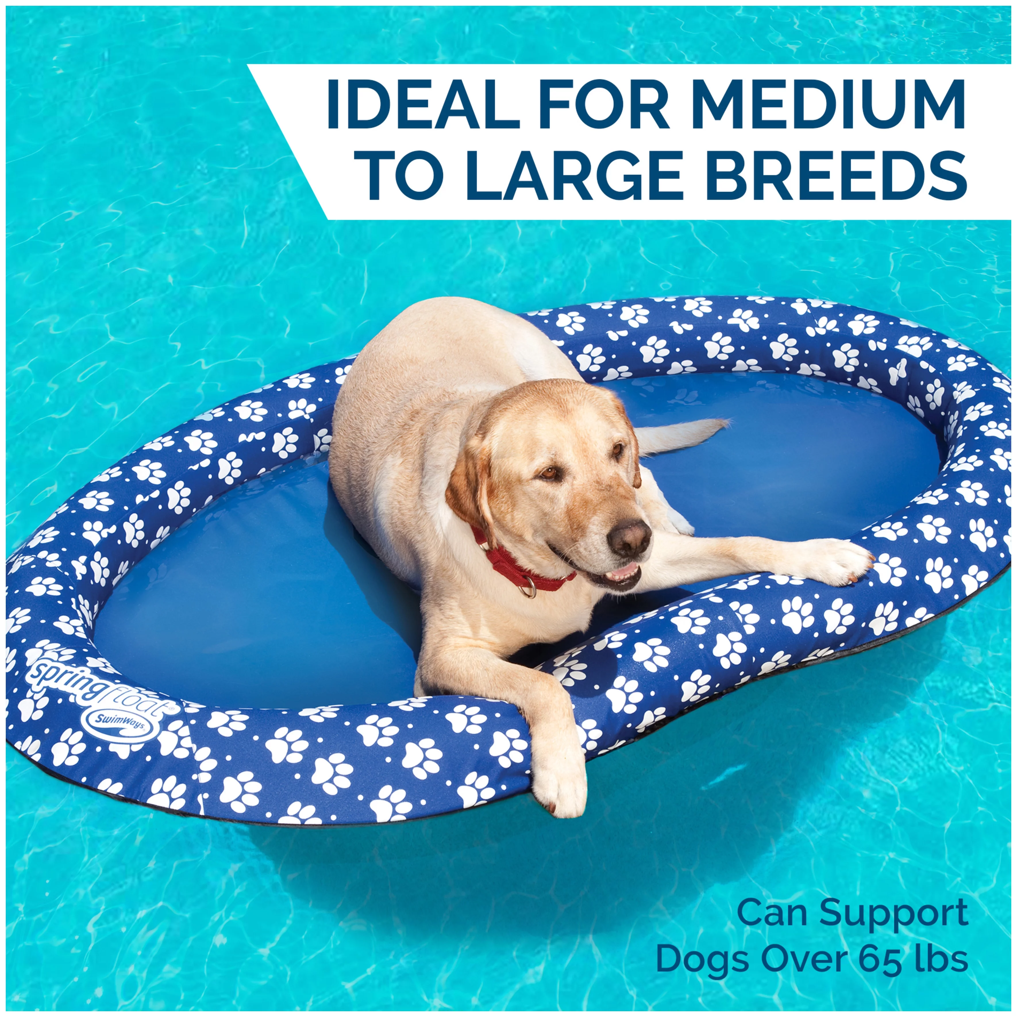 SwimWays Spring Float Paddle Paws Dog Pool Float – Large (65 lbs and Up)