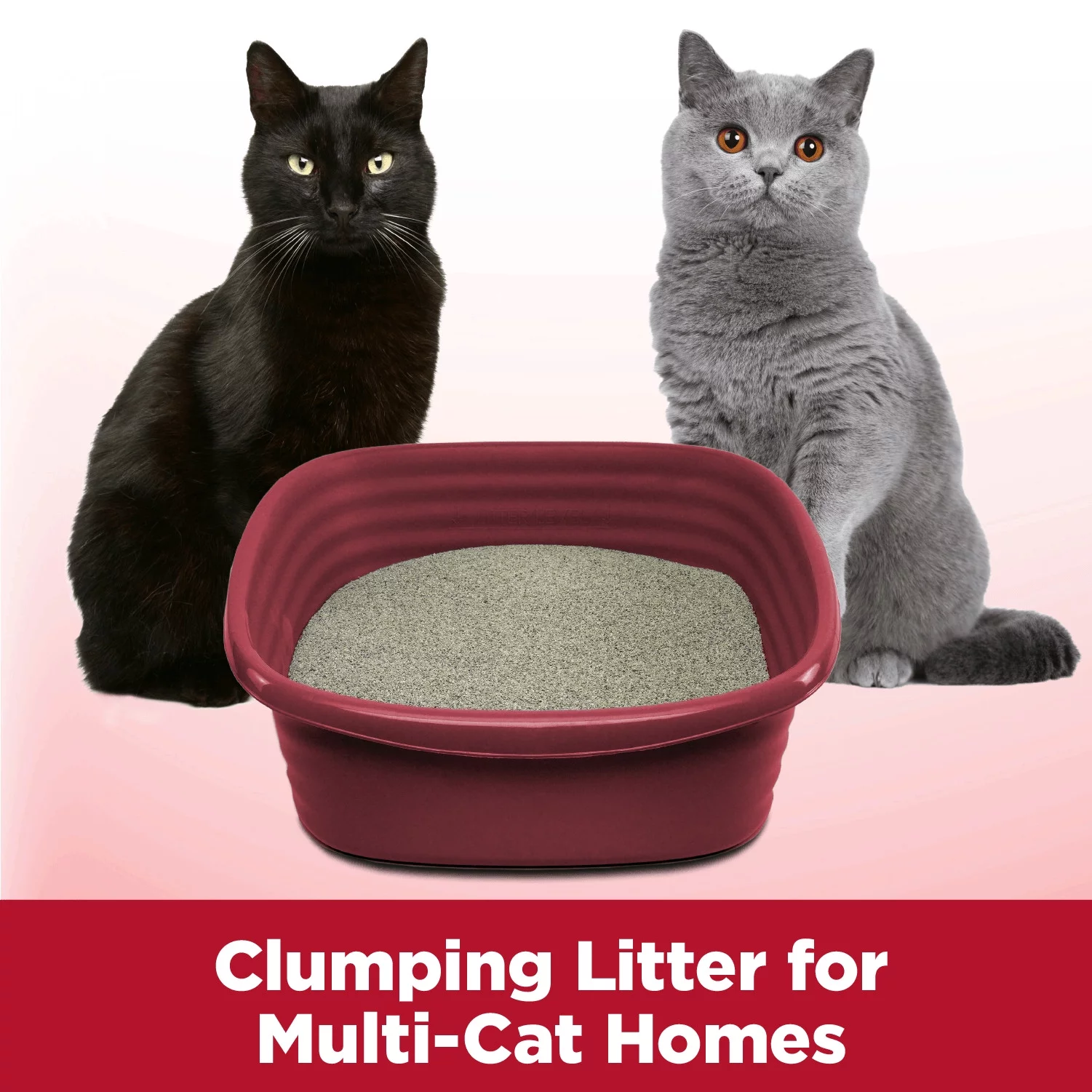 Arm & Hammer Clump & Seal Cat Litter, Multi-Cat Odor Sealing Clay Clumping Cat Litter, 28 lbs