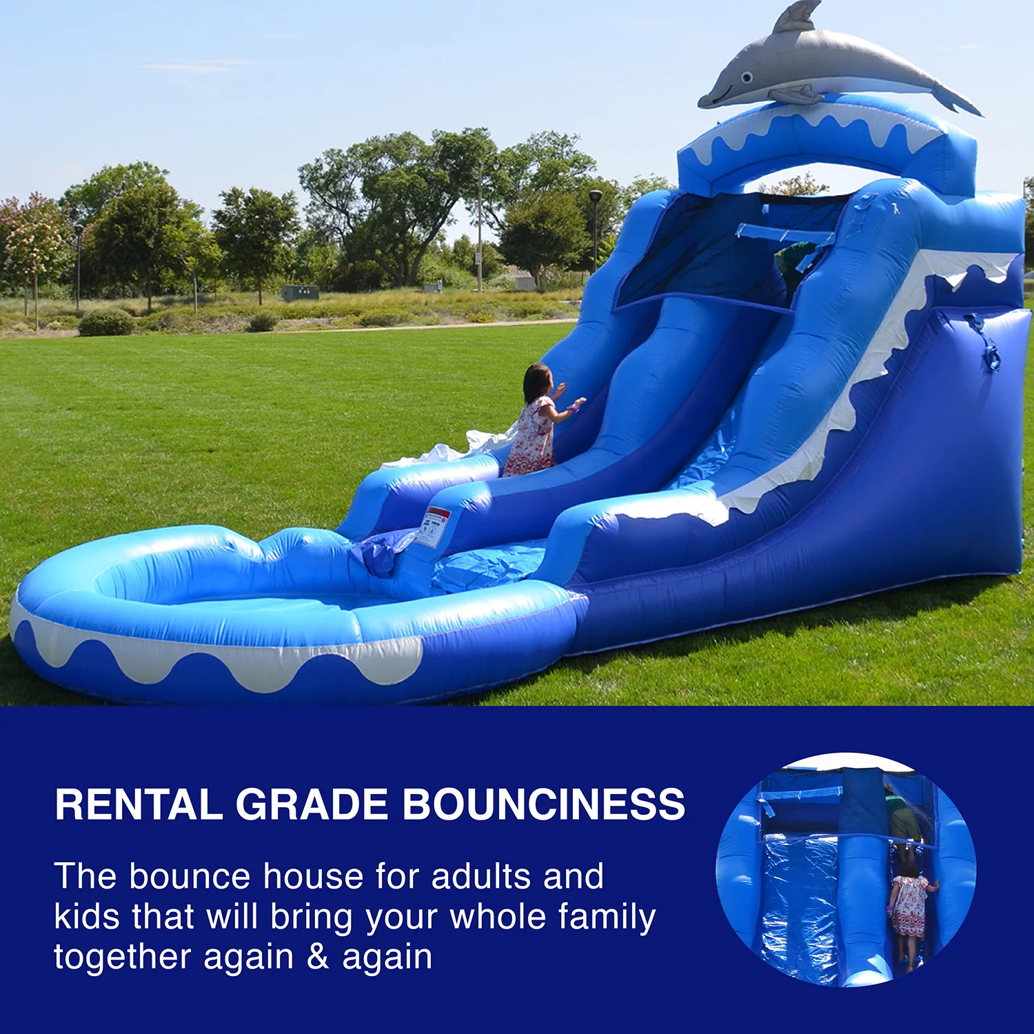 HeroKiddo Dolphin Commercial Grade Water Slide with Pool for Kids and Adults (with Blower)