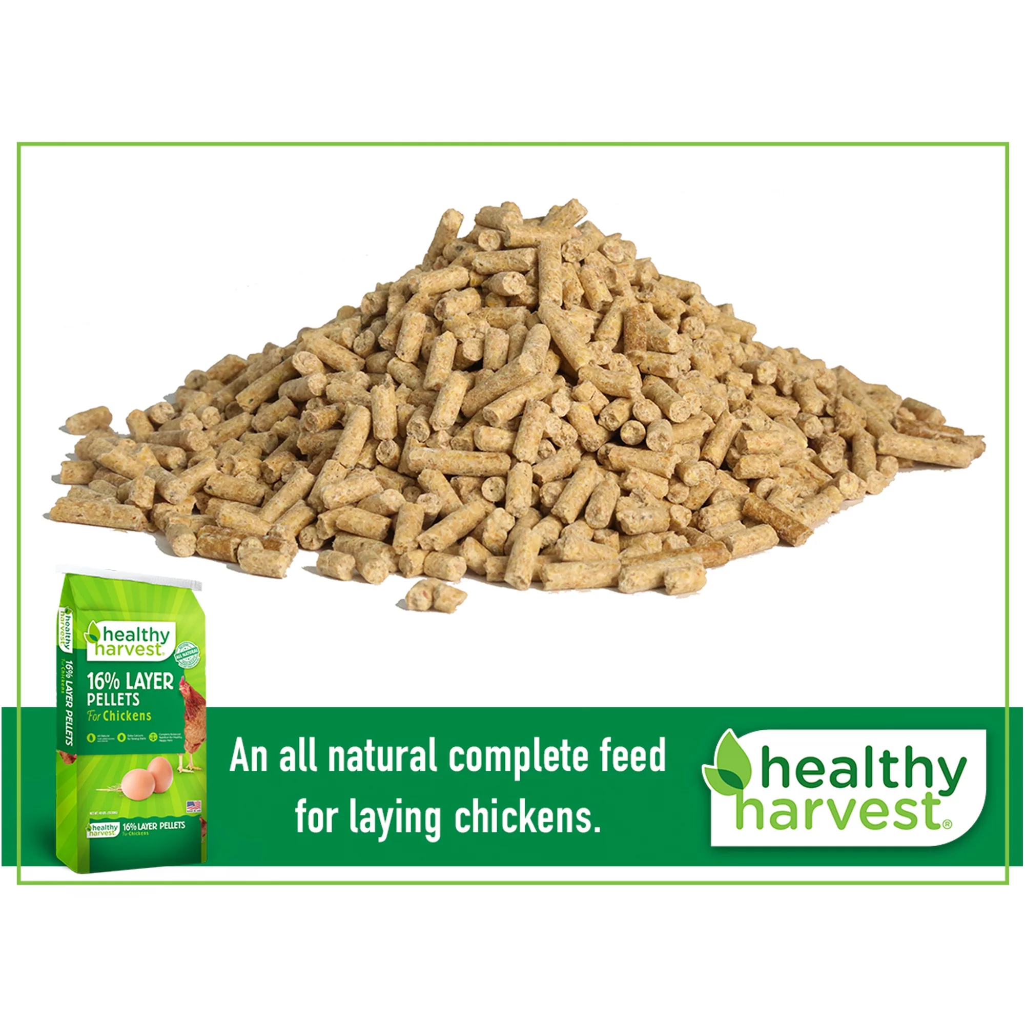 Healthy Harvest 16% Layer Pellets Chicken Feed 40 lb