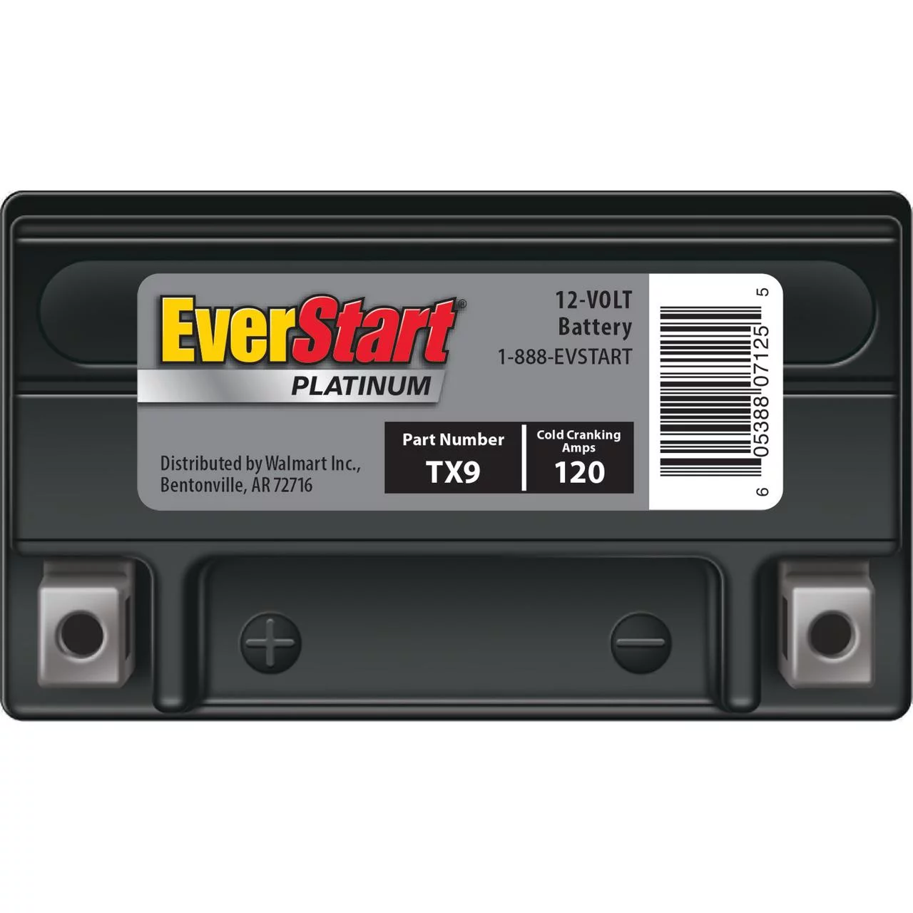 EverStart Premium BOXED AGM Power Sport Battery, Group Size TX9 12 Volt, 120 CCA