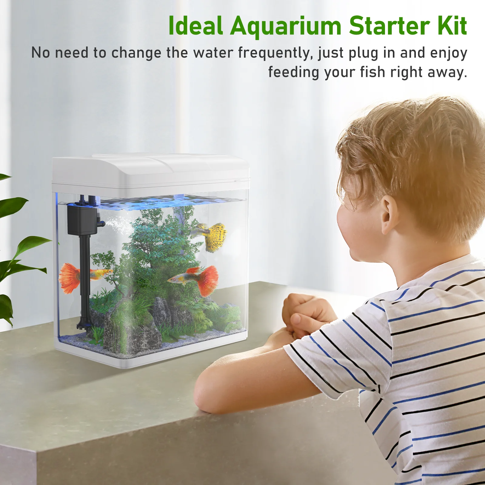 PONDON Fish Tank, 1.7 Gallon Glass Aquarium with Air Pump & LED Light & Filter, Small Fish Tank for Betta Fish Starter Kit (White)