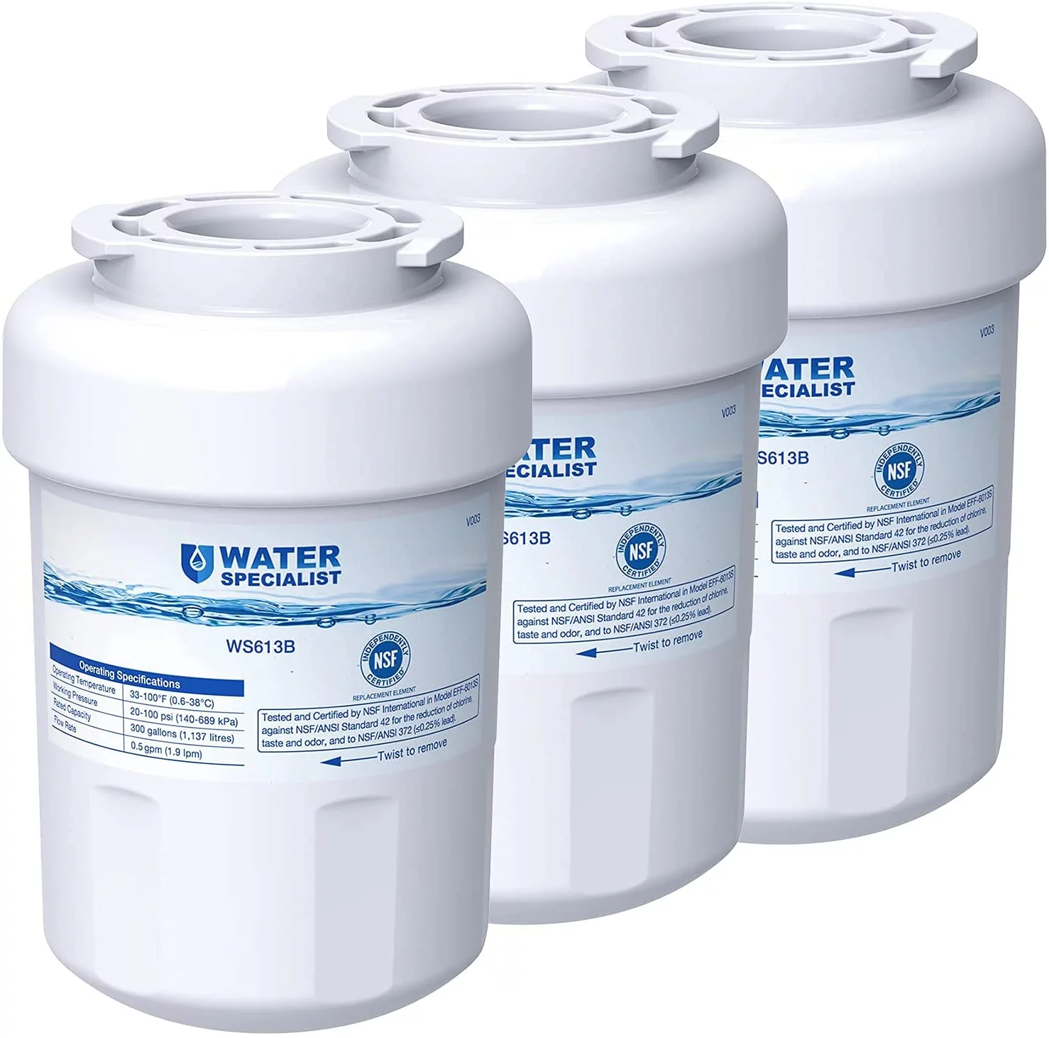 Waterspecialist MWF Refrigerator Water Filter, Replacement for GE Smart Water MWFP , MWFA, GWF, HDX FMG-1, WFC1201, GSE25GSHECSS, PC75009, RWF1060, 3 PACK