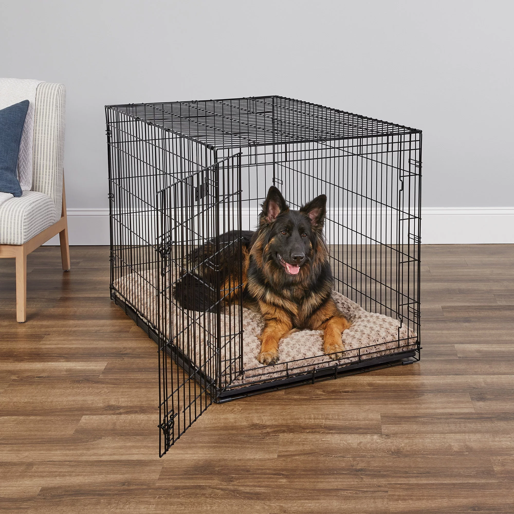 Medium Dog Crate | MidWest iCrate 30″ Double Door Folding Metal Dog Crate | Divider Panel, Floor Protecting Feet & Dog Pan | 30L x 19W x 21H Inches, Medium Dog Breed