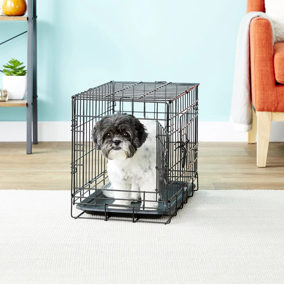 Paws & Pals Dog Crate Large with Double-Door and Removable Tray (48-inch) (XXL)