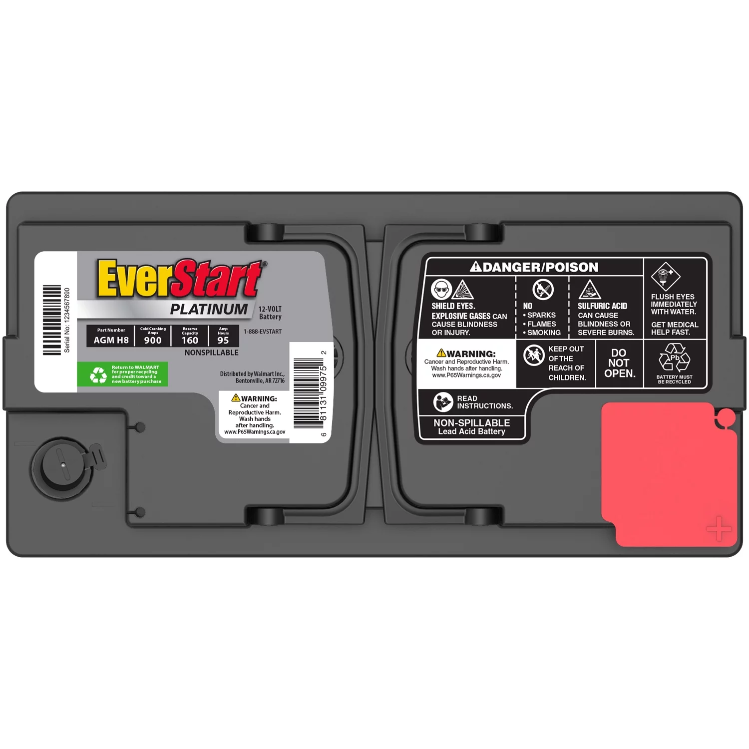 EverStart Platinum AGM Automotive Battery, Group Size H8 / LN5 / 49 12 Volt, 850 CCA 150 RC