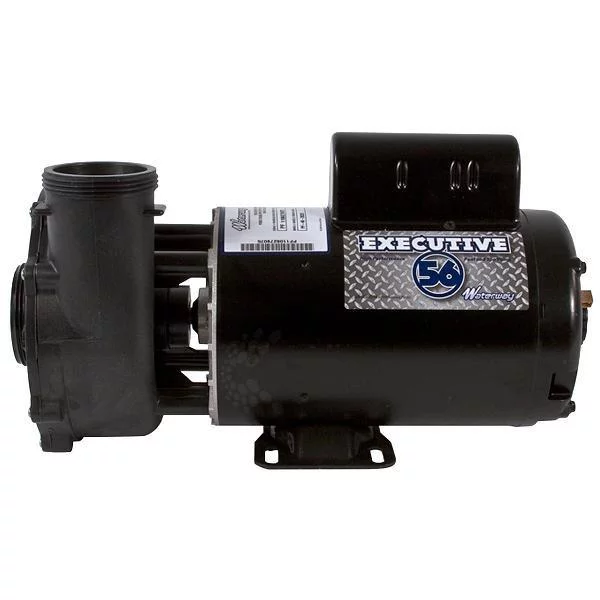 Waterway Executive 56-Frame 4HP Dual-Speed Spa Pump, 2in. Intake, 2in. Discharge, 230V – 3721621-1D