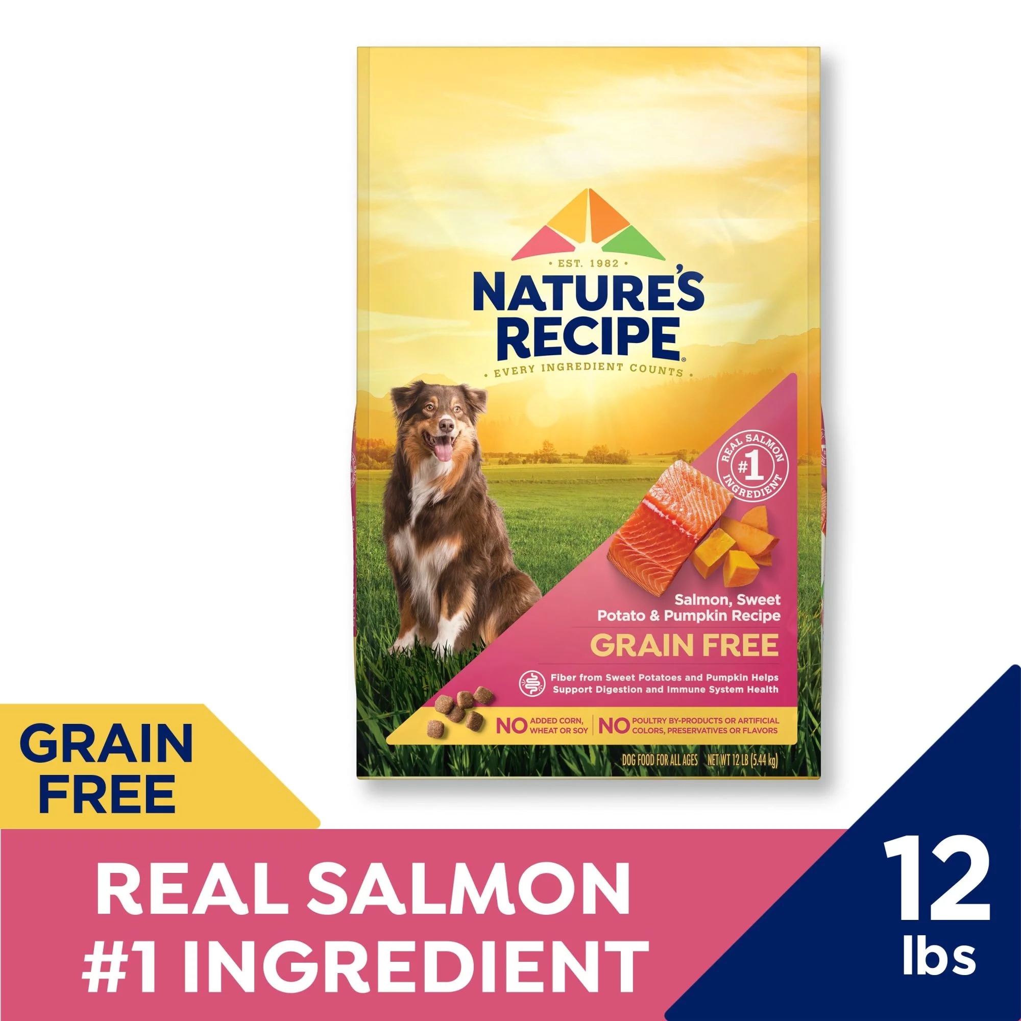 Nature’s Recipe Grain Free Salmon, Sweet Potato & Pumpkin Recipe, Dry Dog Food, 24 lb.