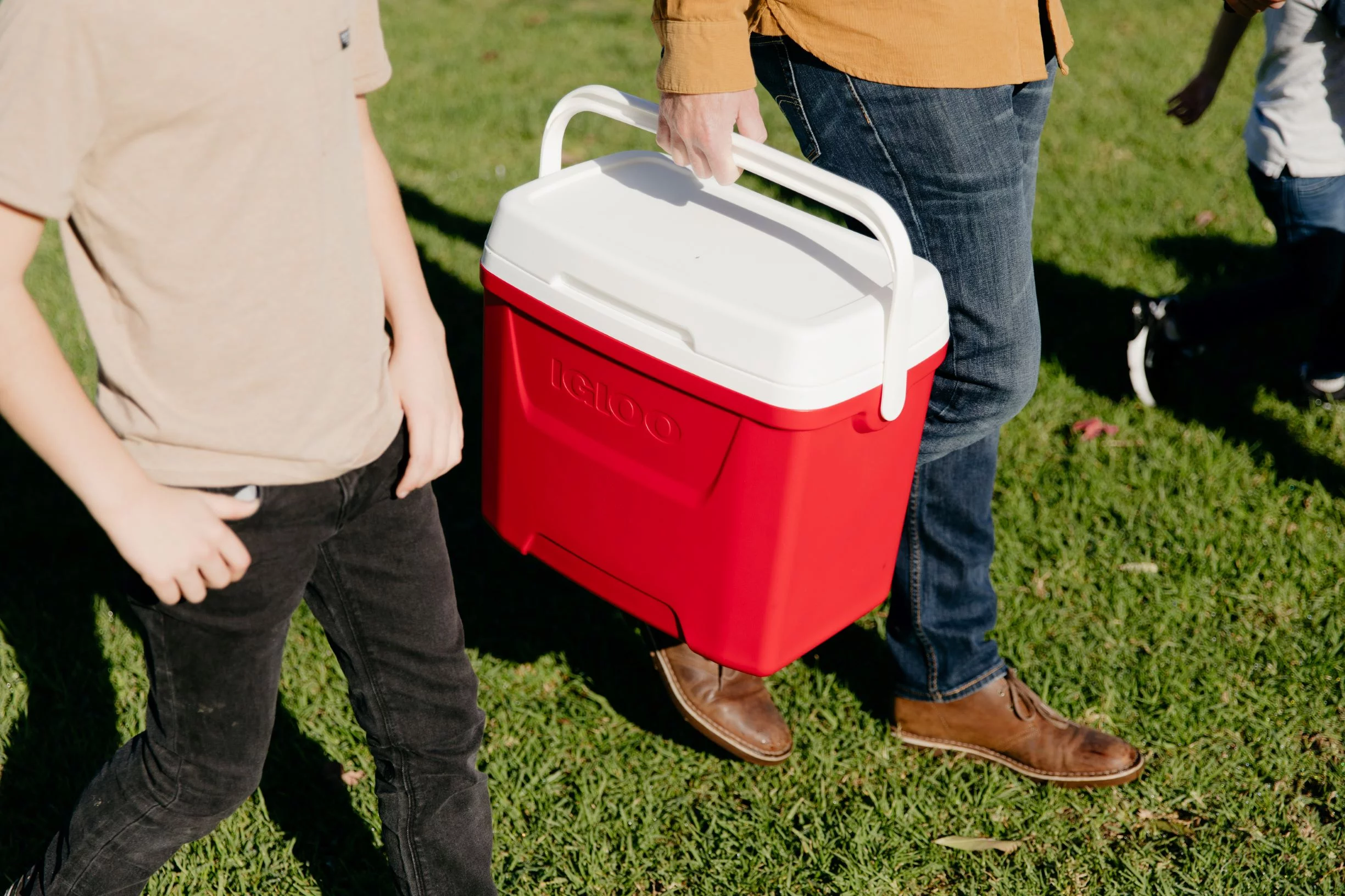 Igloo 28 QT Laguna Ice Chest Cooler, Red