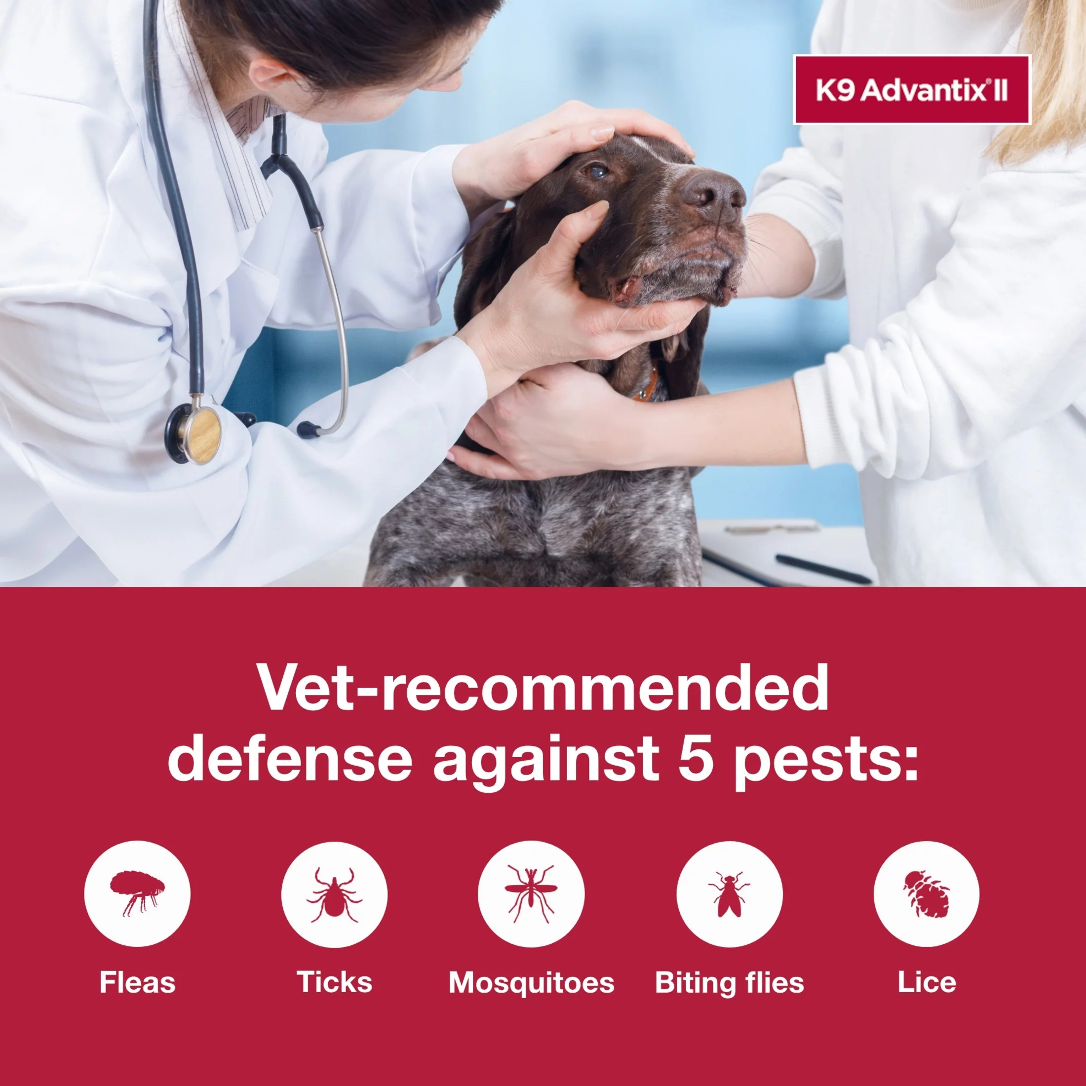 K9 Advantix II Monthly Flea & Tick Prevention for XL Dogs 55 lbs+, 1-Monthly Treatment