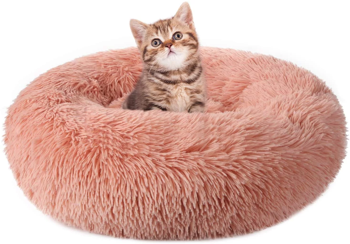 rabbitgoo Cat Bed for Indoor Cats, Fluffy Round Self Warming Calming Soft Plush Donut Cuddler Cushion Pet Bed for Small Dogs Kittens, 20 inches