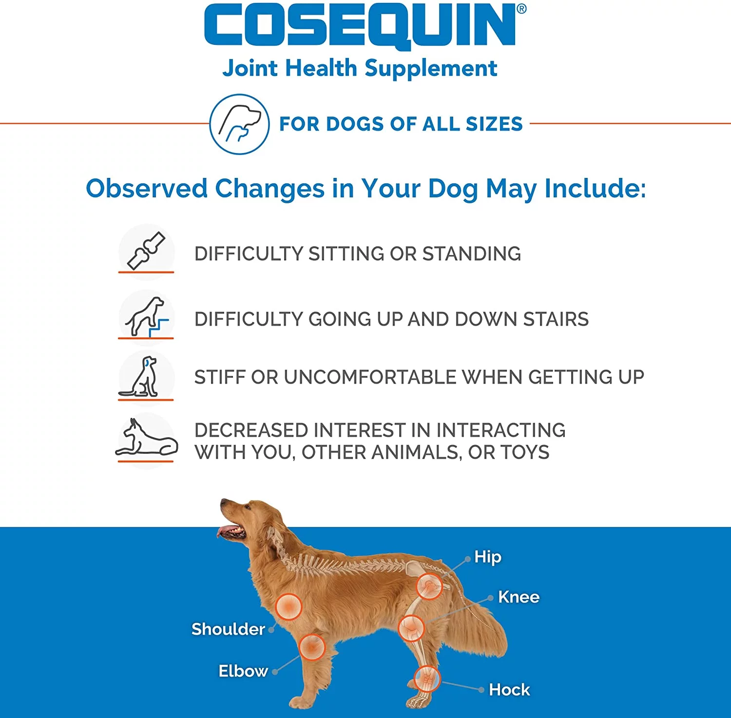 Nutramax Cosequin Maximum Strength Joint Health Supplement for Dogs, 132 Chewable Tablets