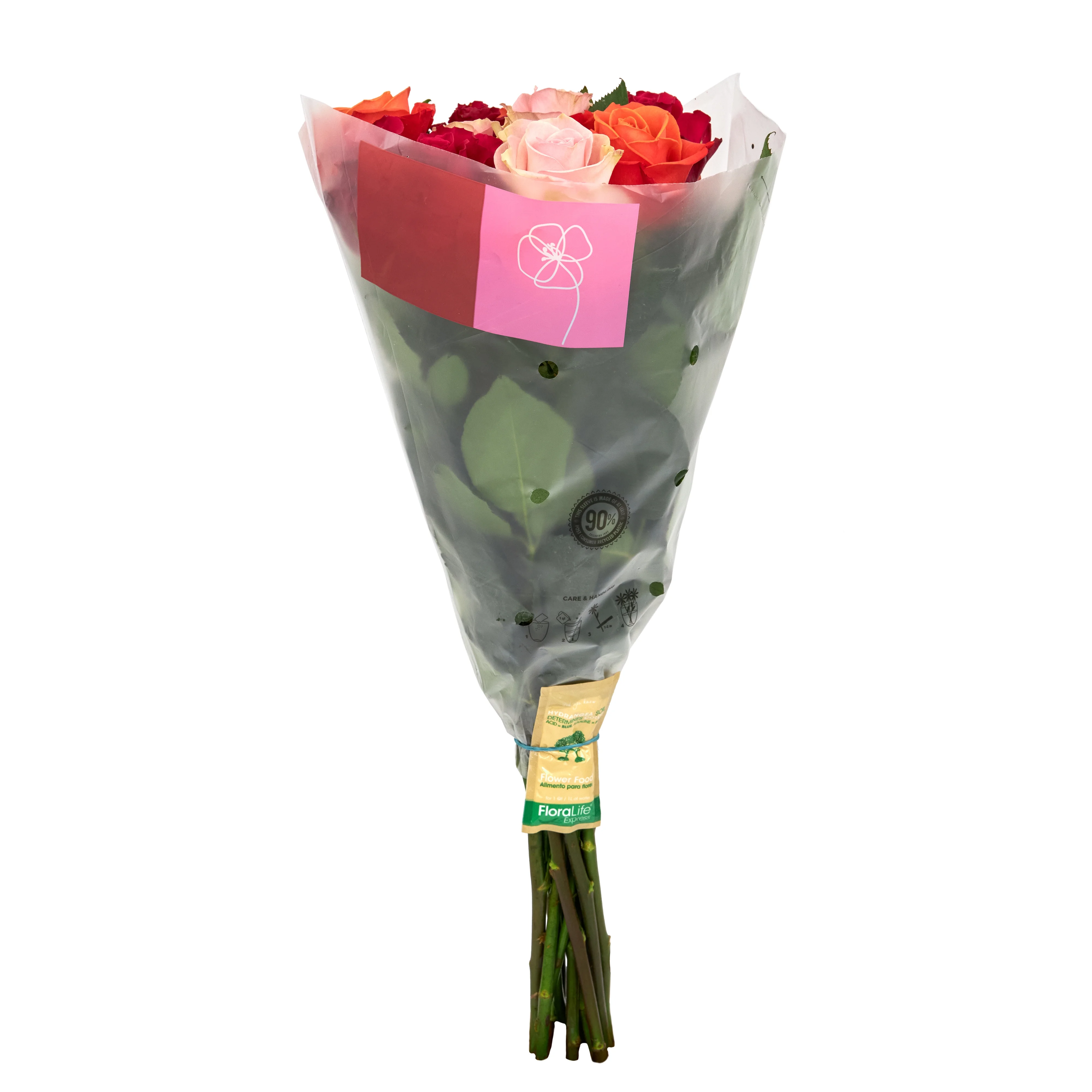 Fresh-Cut Dozen Roses, 12 Stems Assorted Rainbow Colors, Colors Vary