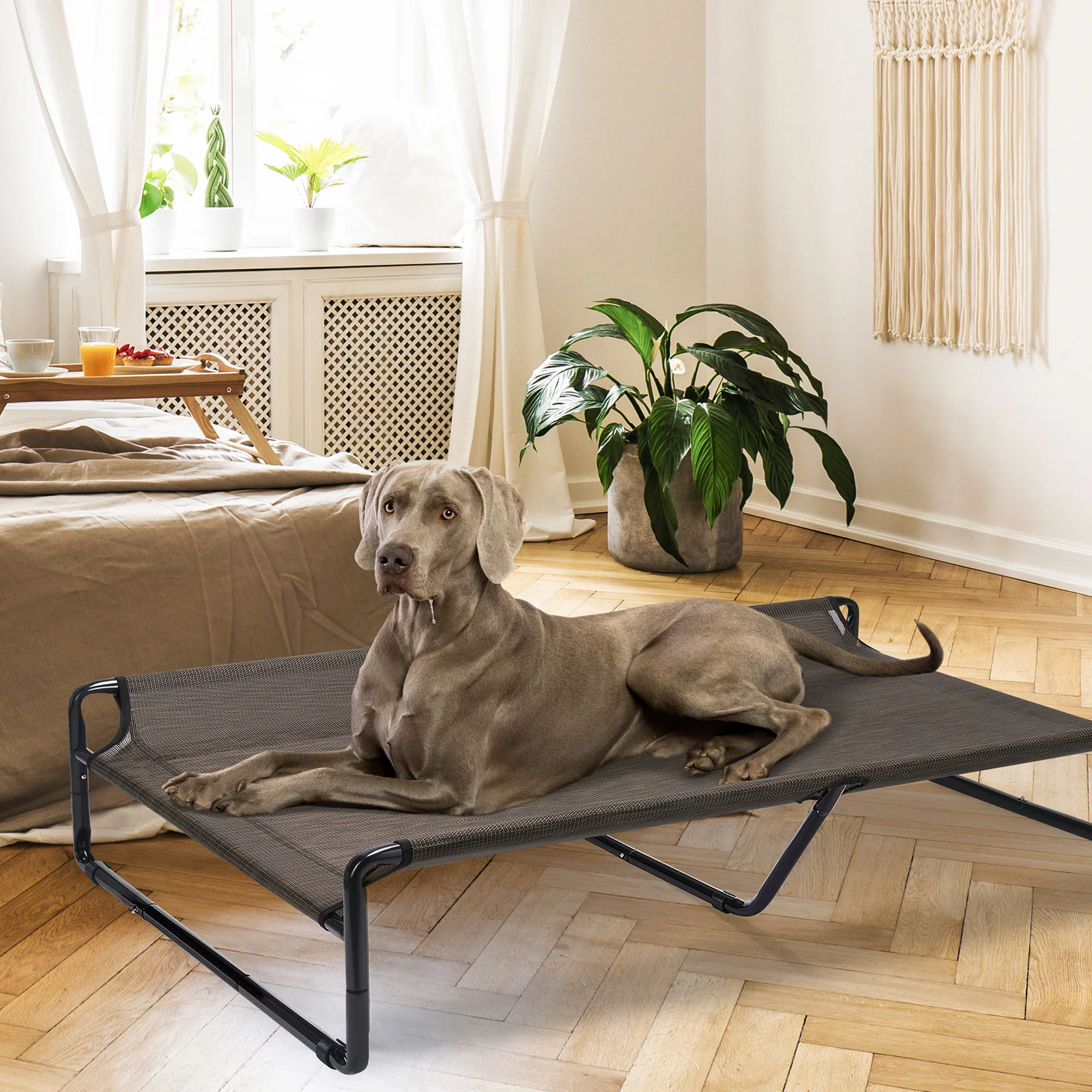 Veehoo Original Cooling Elevated Dog Bed, Raised Dog Cot with Washable Mesh, Large, Black