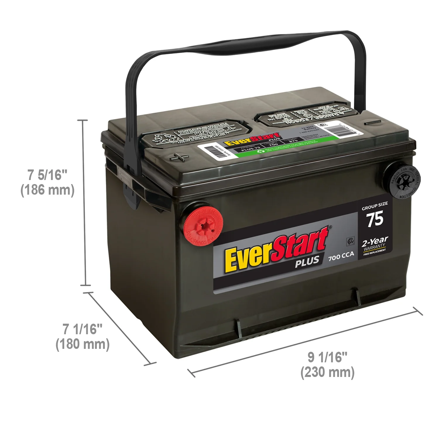 EverStart Plus Lead Acid Automotive Battery, Group Size 75 12 Volt, 700 CCA