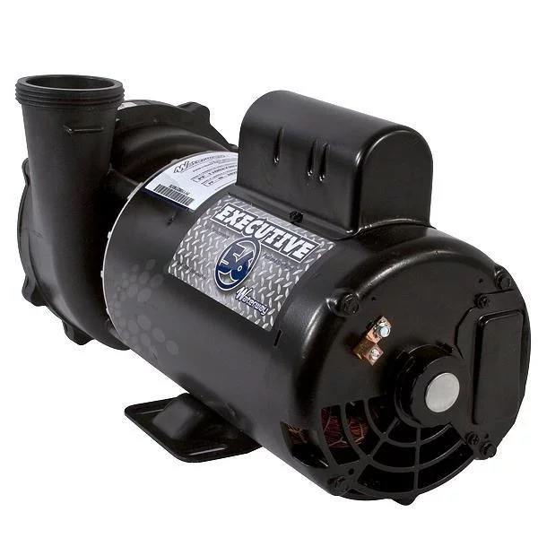 Waterway Executive 56-Frame 4HP Dual-Speed Spa Pump, 2in. Intake, 2in. Discharge, 230V – 3721621-1D