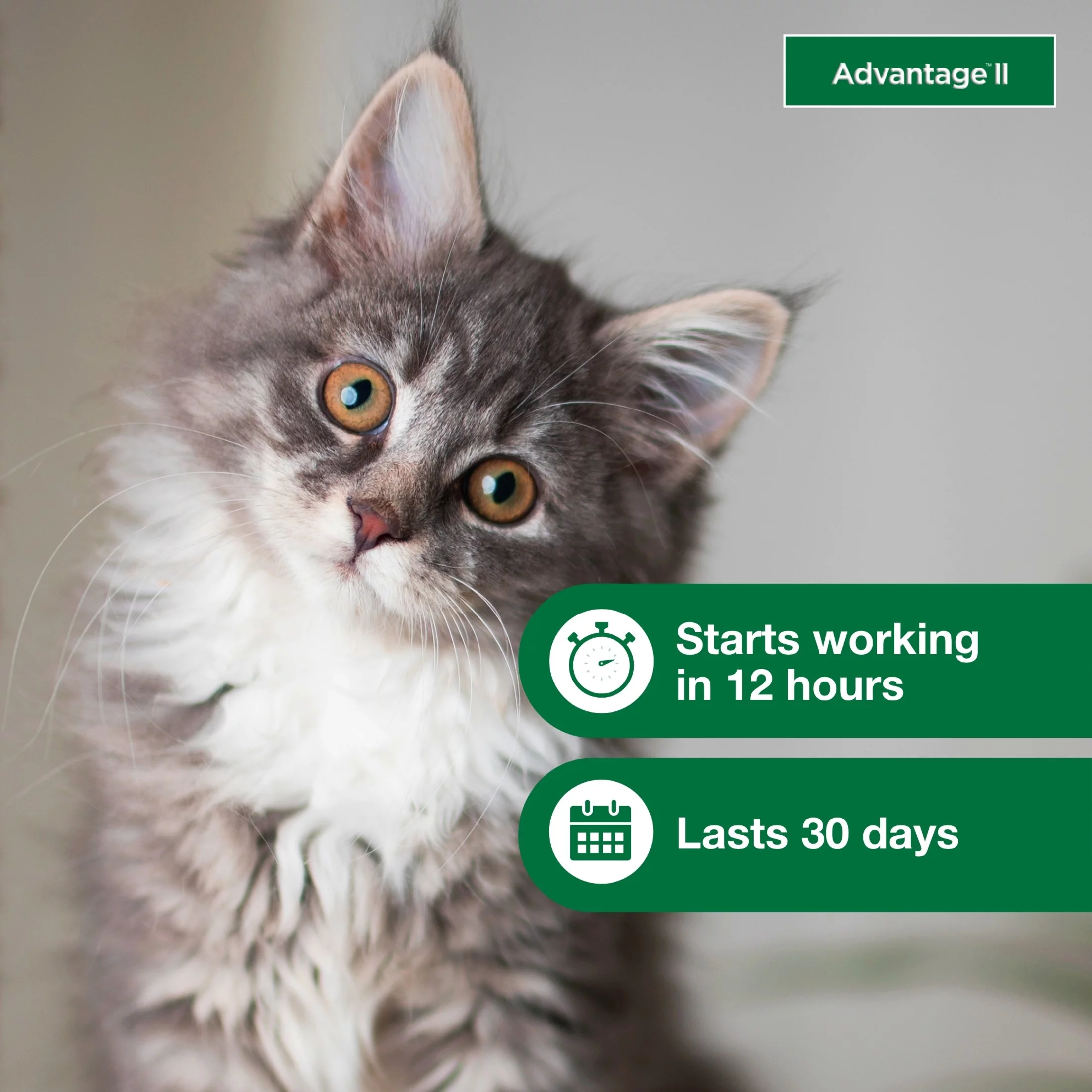 Advantage II Vet-Recommended Flea Prevention for Kittens & Cats 2-5 lbs, 2-Monthly Treatments