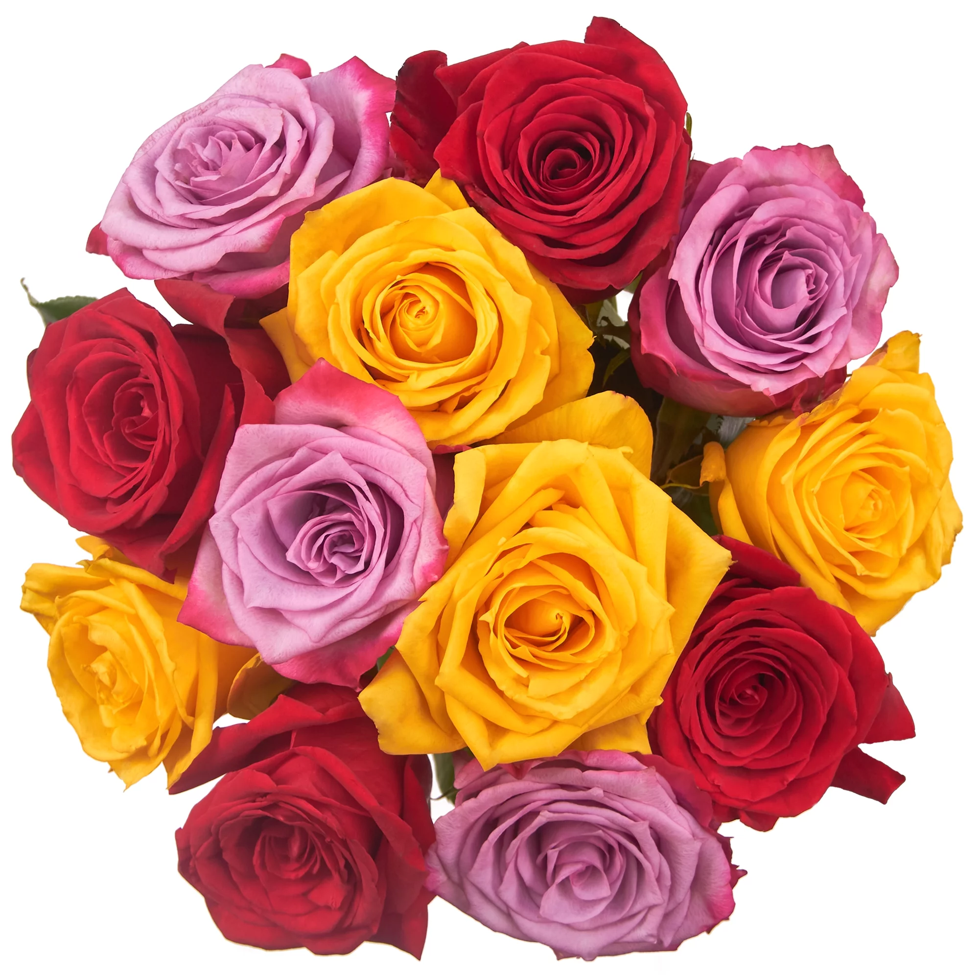 Fresh-Cut Dozen Roses, 12 Stems Assorted Rainbow Colors, Colors Vary