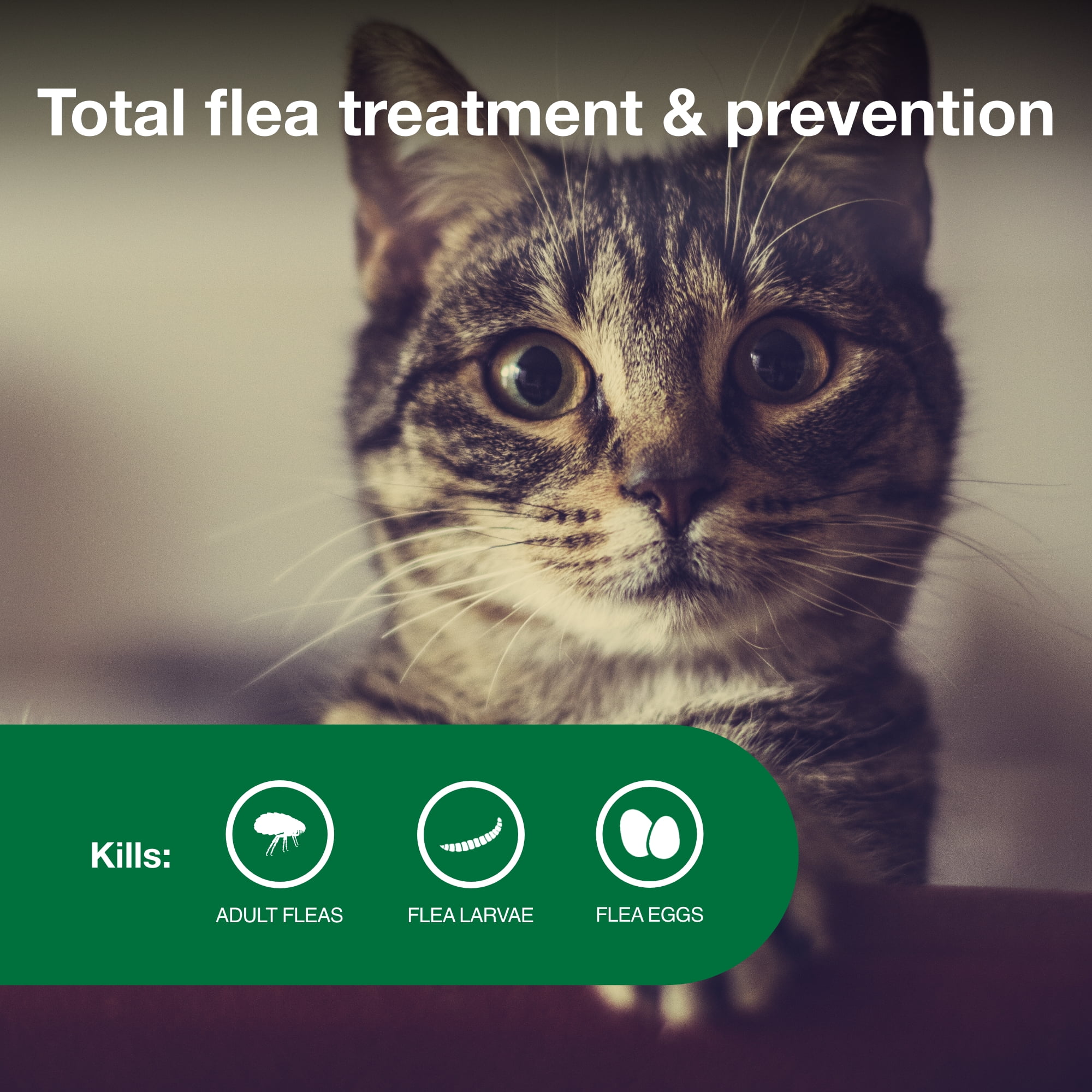 Advantage II Vet-Recommended Flea Prevention for Small Cats 5-9 lbs, 6-Monthly Treatments