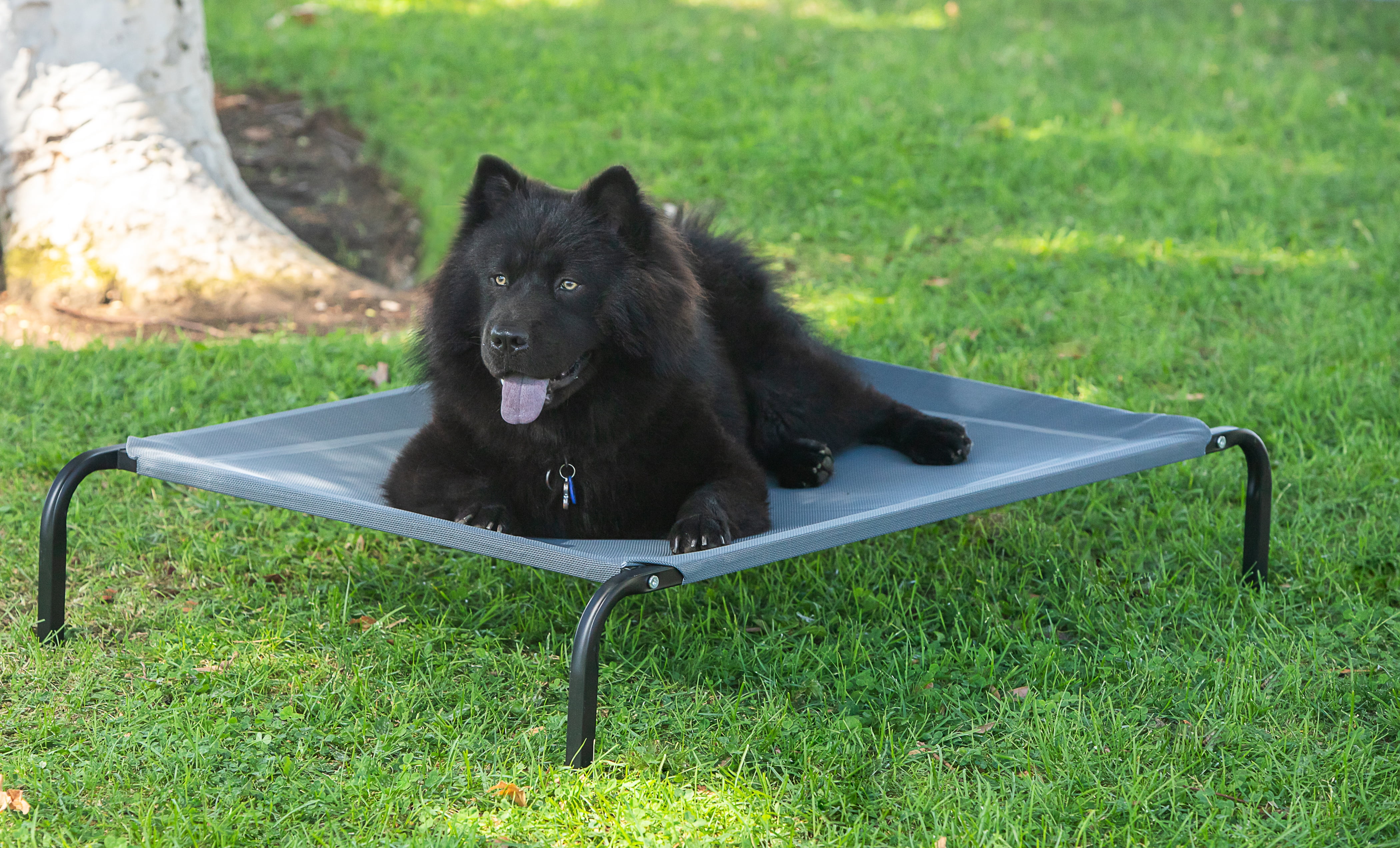 Paws & Pals Elevated Pet Bed for Camping Dogs Cats (Gray) (MM)