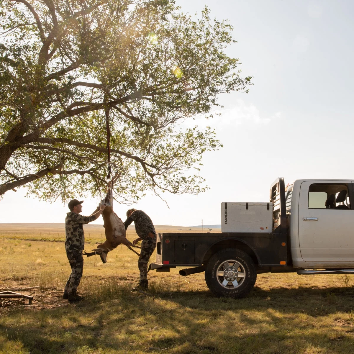 Outfitter 125 Quart Coolers