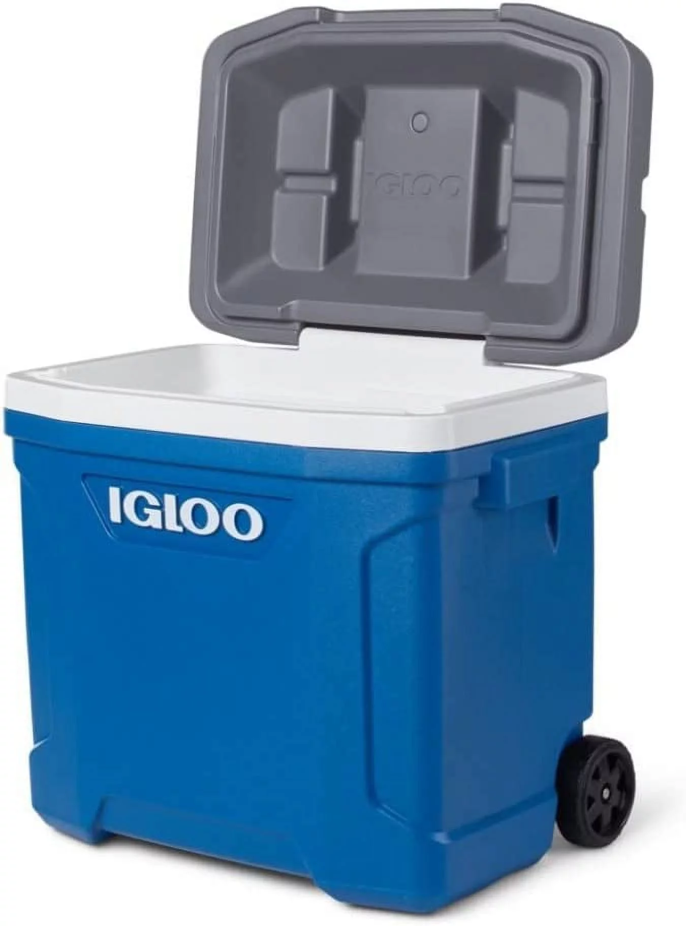 Igloo 30 Qt Hard Sided Cooler, Black