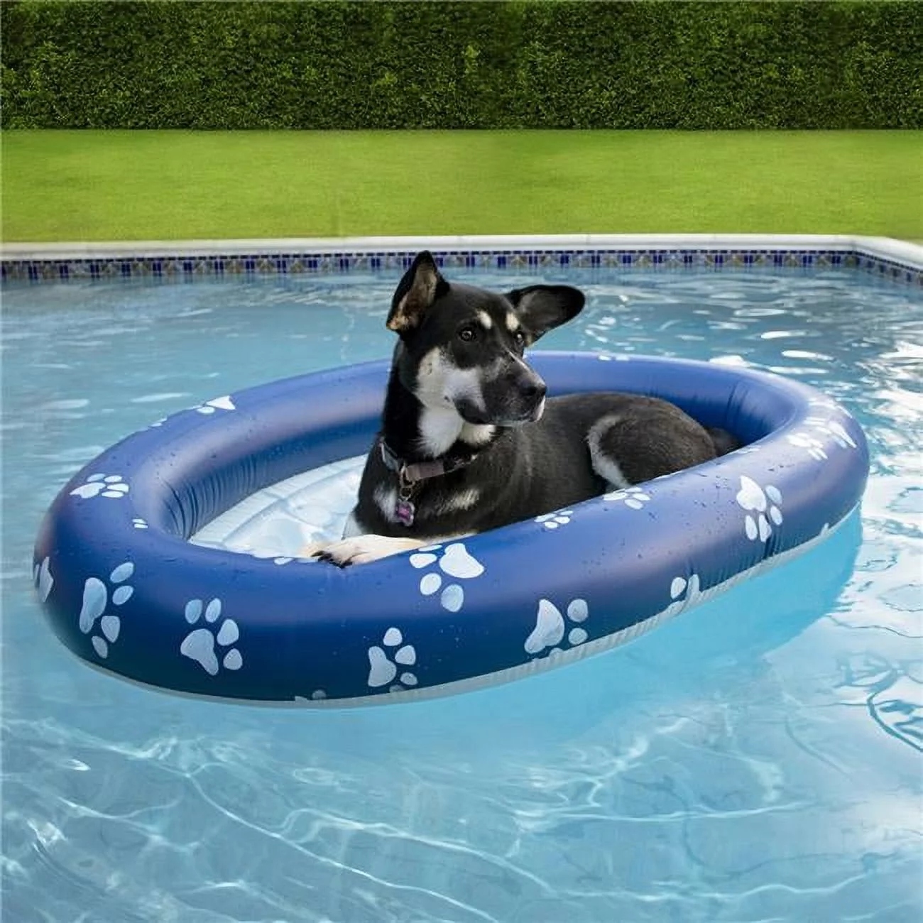 Pool Candy Dog Pool Float and Lounger, Blue, 54″x40″x7.5″