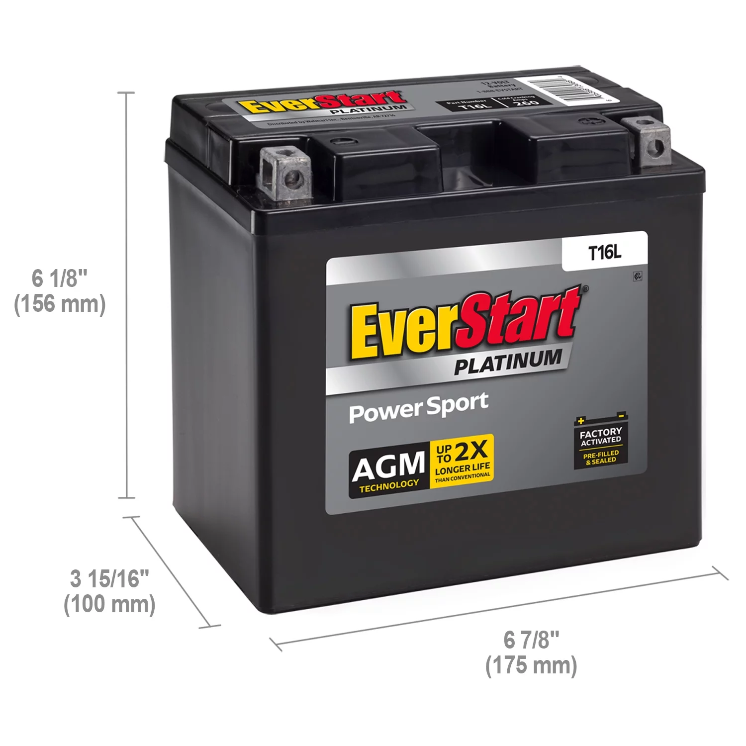 EverStart Premium BOXED AGM Power Sport Battery, Group Size T16L 12 Volt, 260 CCA