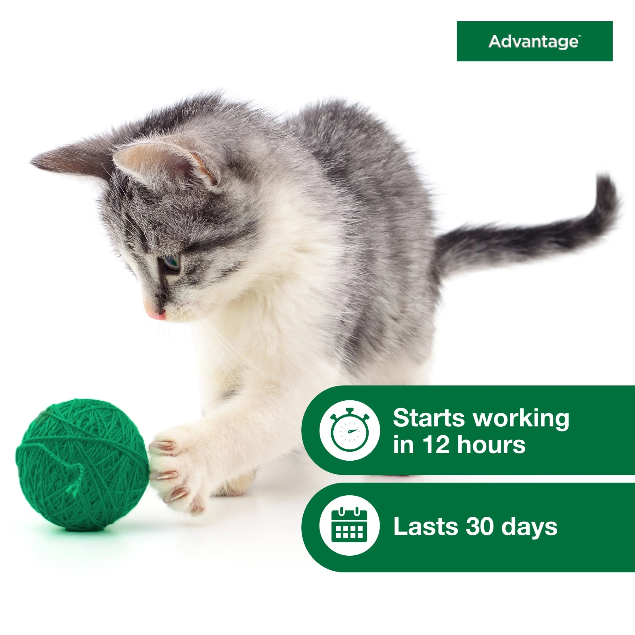 Advantage Topical Flea Prevention For Large Cats 9 lbs+, 2-Monthly Treatments