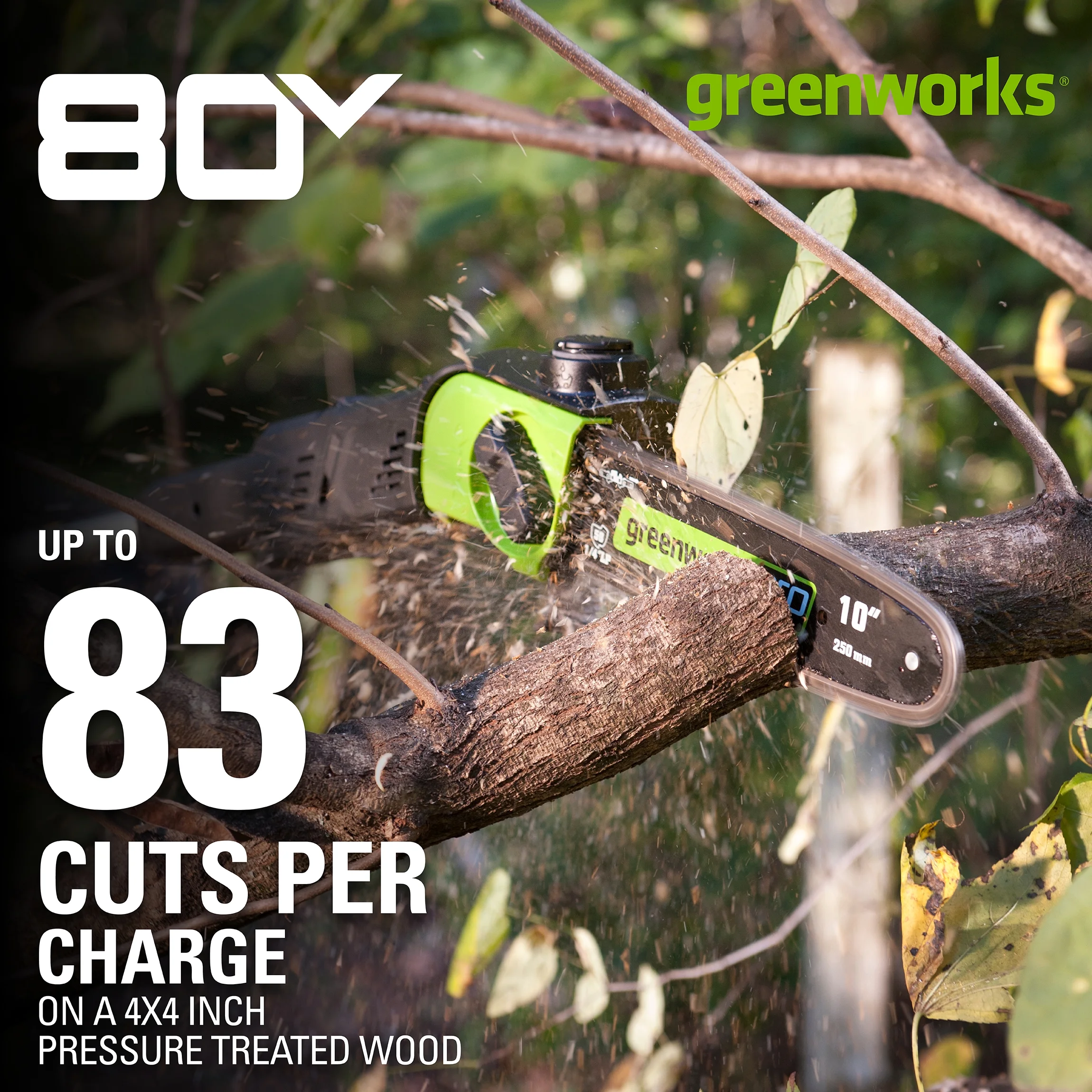 Greenworks PRO 80V 10 in. Brushless Pole Saw W/2.0 Ah Battery, PS80L210