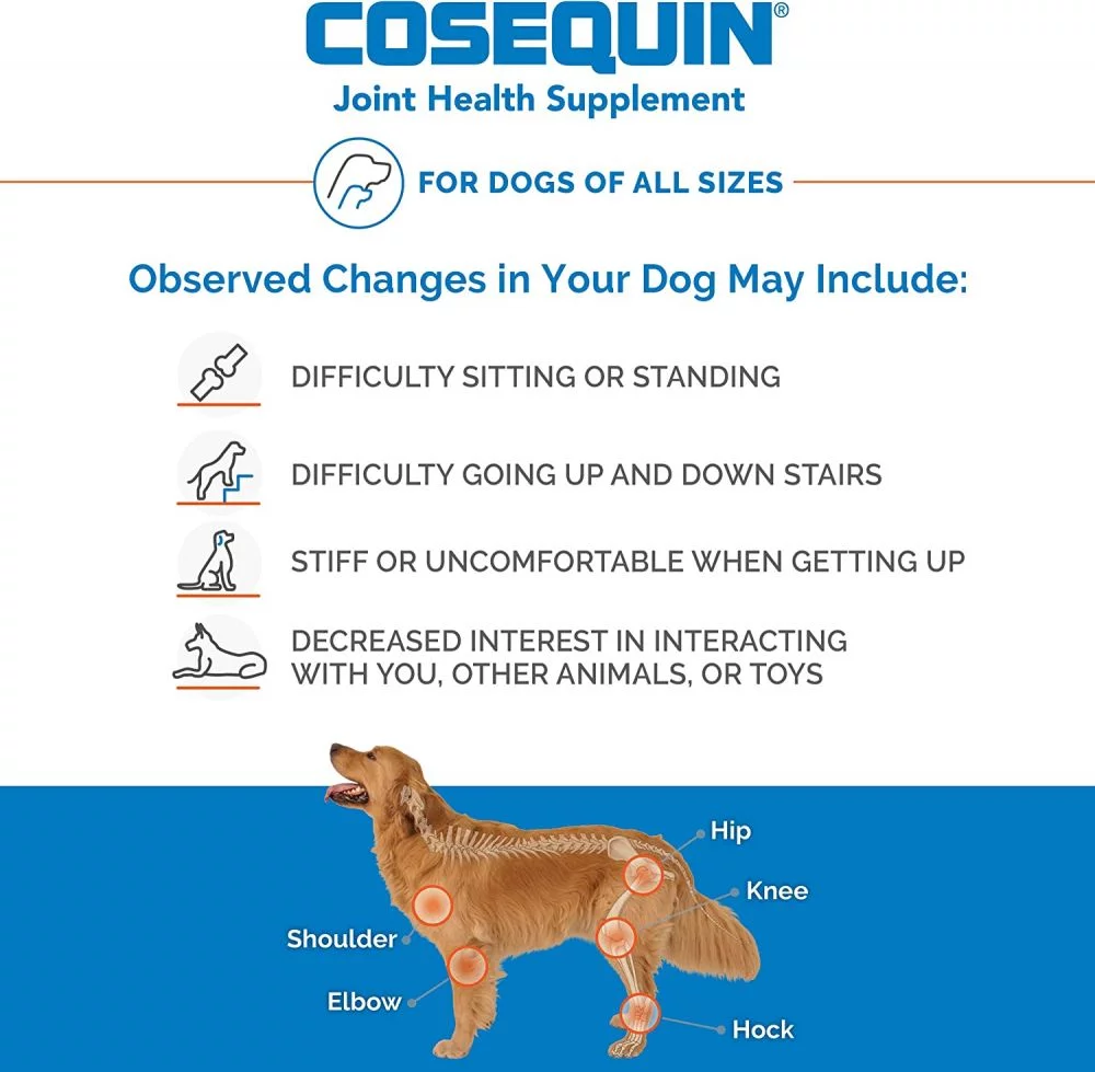 Cosequin Maximum Strength Plus MSM Chewable Tablets 250ct