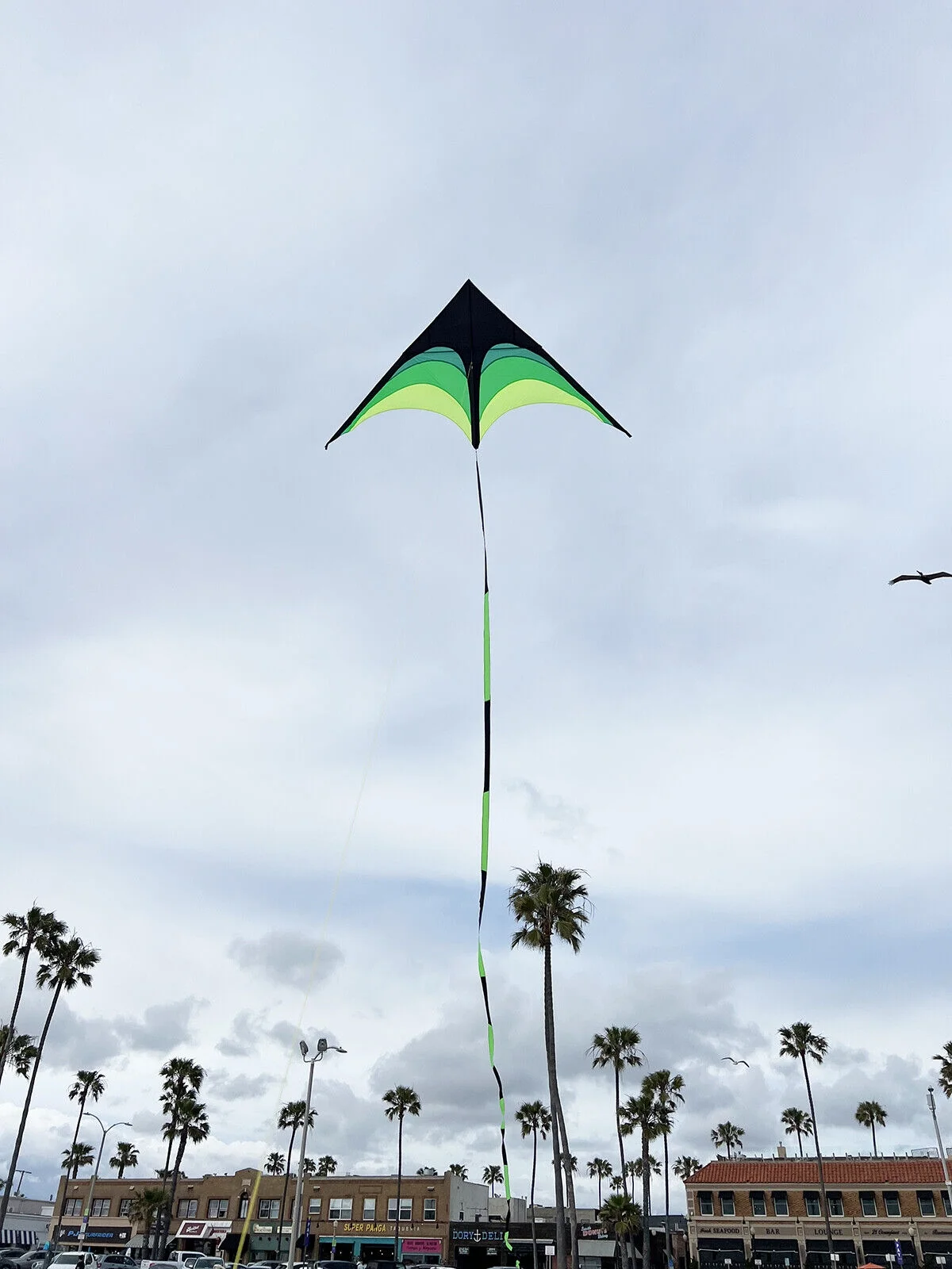 9.2-foot-wide giant kite with 100-foot tail and 328-foot string for children and adults