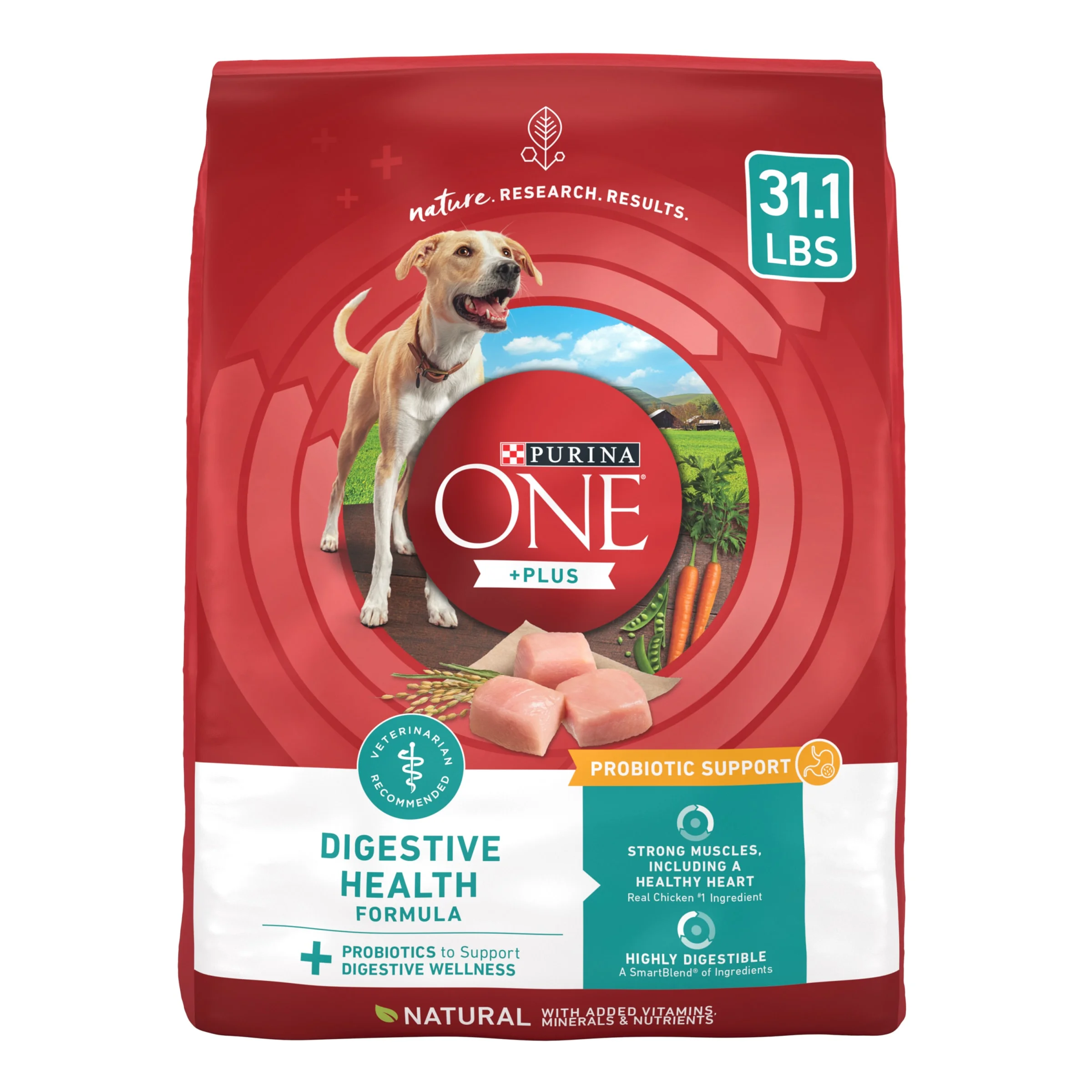 Purina ONE Plus Dry Dog Food Digestive Health, High Protein Natural Chicken & Rice, 16.5 lb Bag