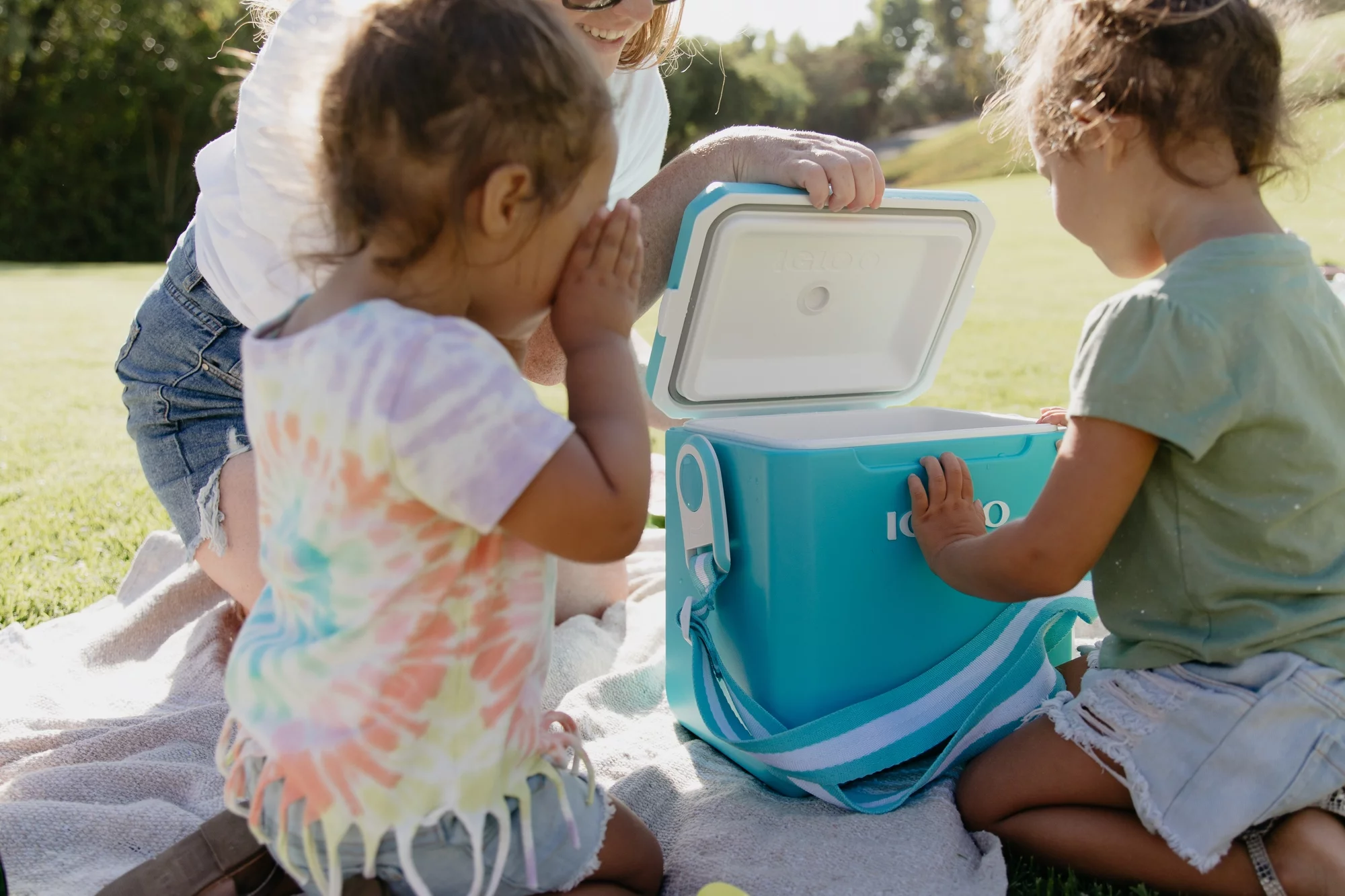 Igloo 11 QT. Tag Along Too Hard Side Cooler, Turquoise Blue