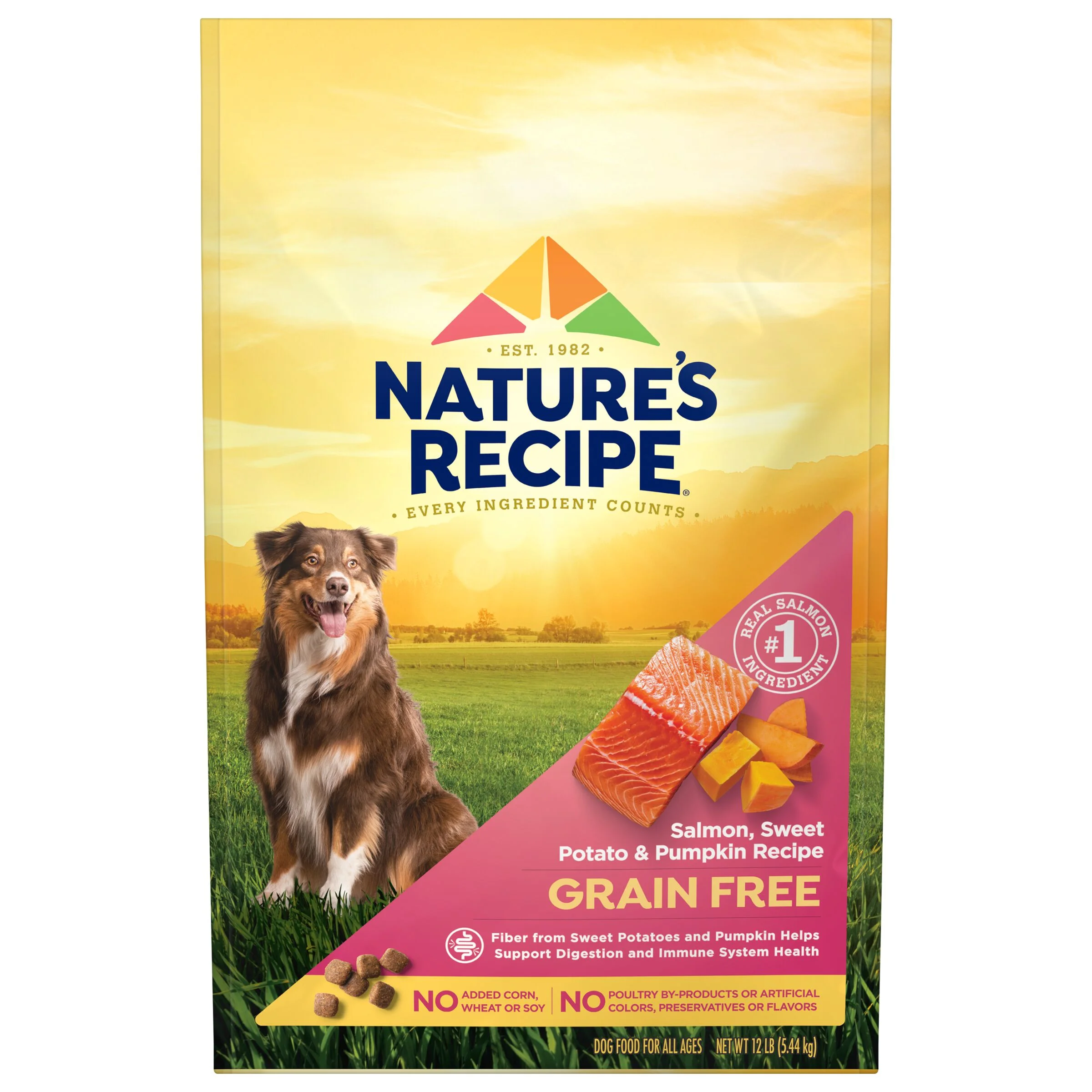 Nature’s Recipe Grain Free Salmon, Sweet Potato & Pumpkin Recipe, Dry Dog Food, 12 lb.