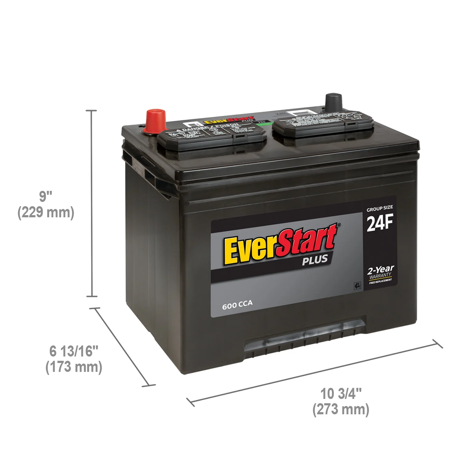 EverStart Plus Lead Acid Automotive Battery, Group Size 24F 12 Volt, 600 CCA