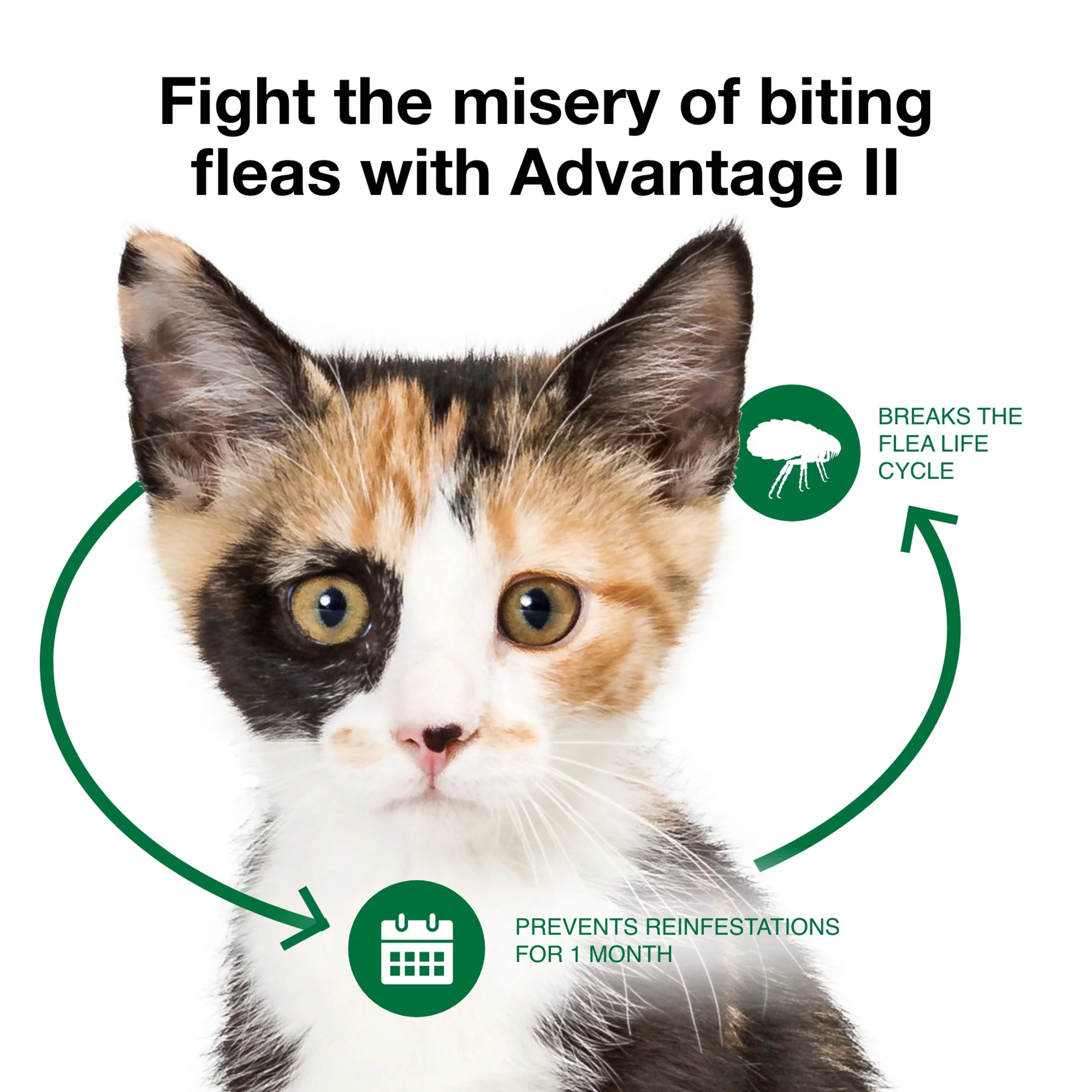 Advantage II Vet-Recommended Flea Prevention for Kittens & Cats 2-5 lbs, 2-Monthly Treatments