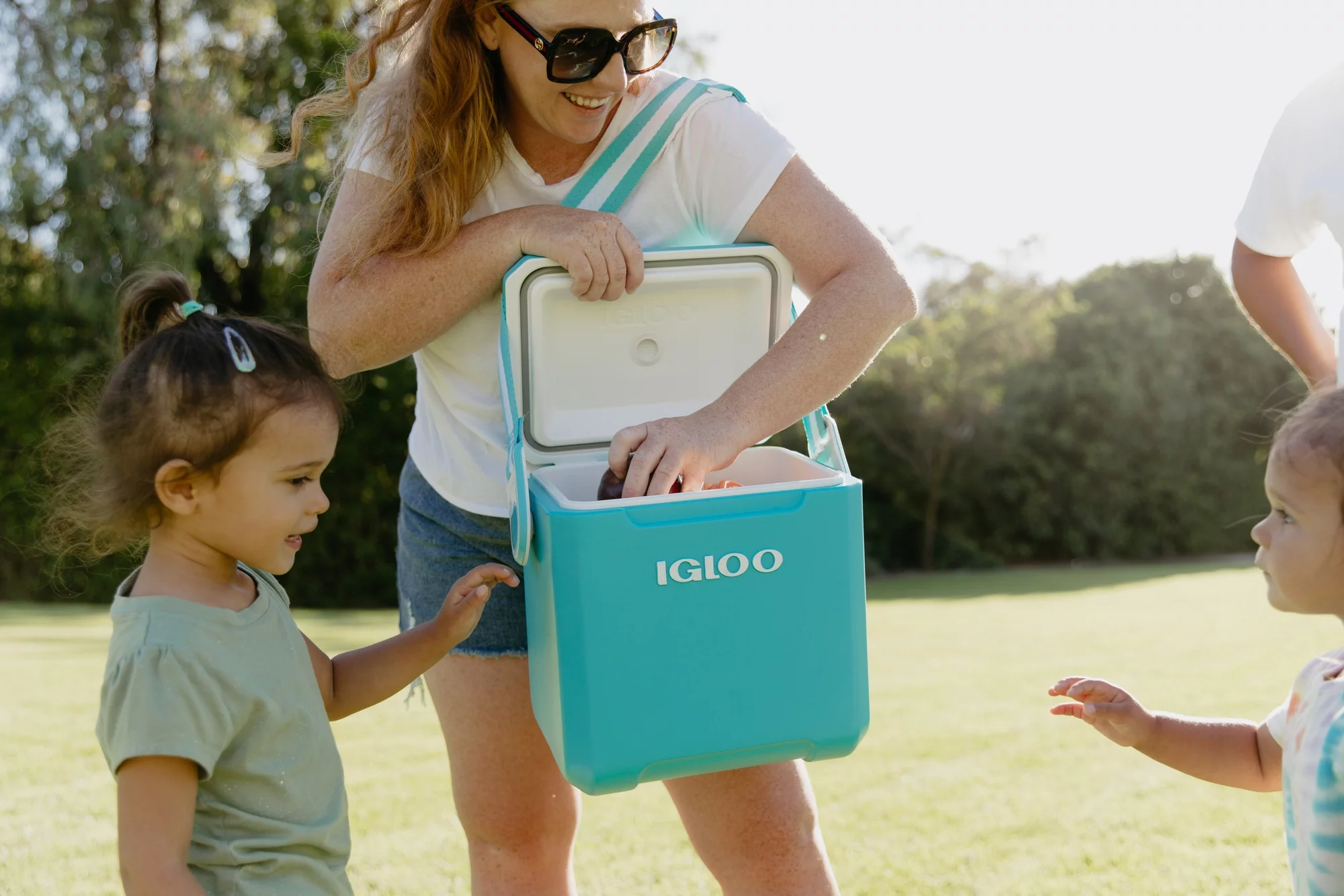 Igloo 11 QT. Tag Along Too Hard Side Cooler, Turquoise Blue