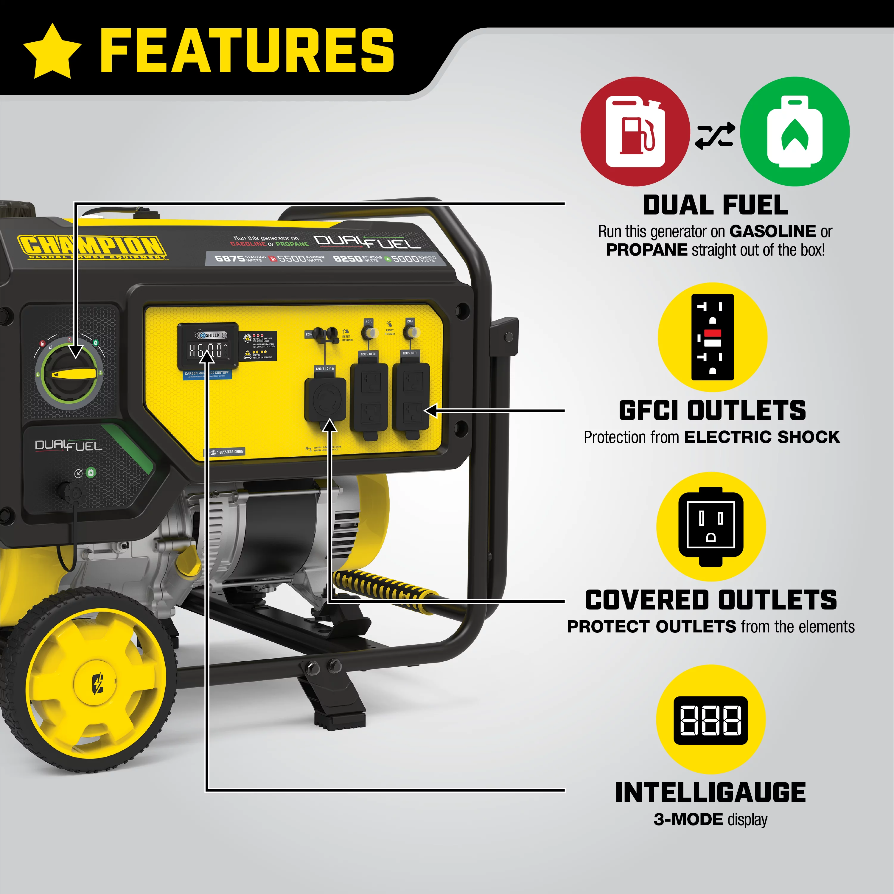 Champion Power Equipment 6875/5500-Watt Dual Fuel Portable Generator with CO Shield