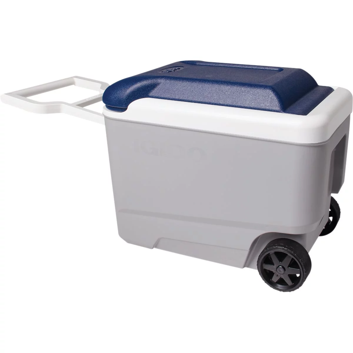 Igloo MaxCold 40 Qt. Roller Cooler, Ash Gray & Aegean Sea 34814 Pack of 2