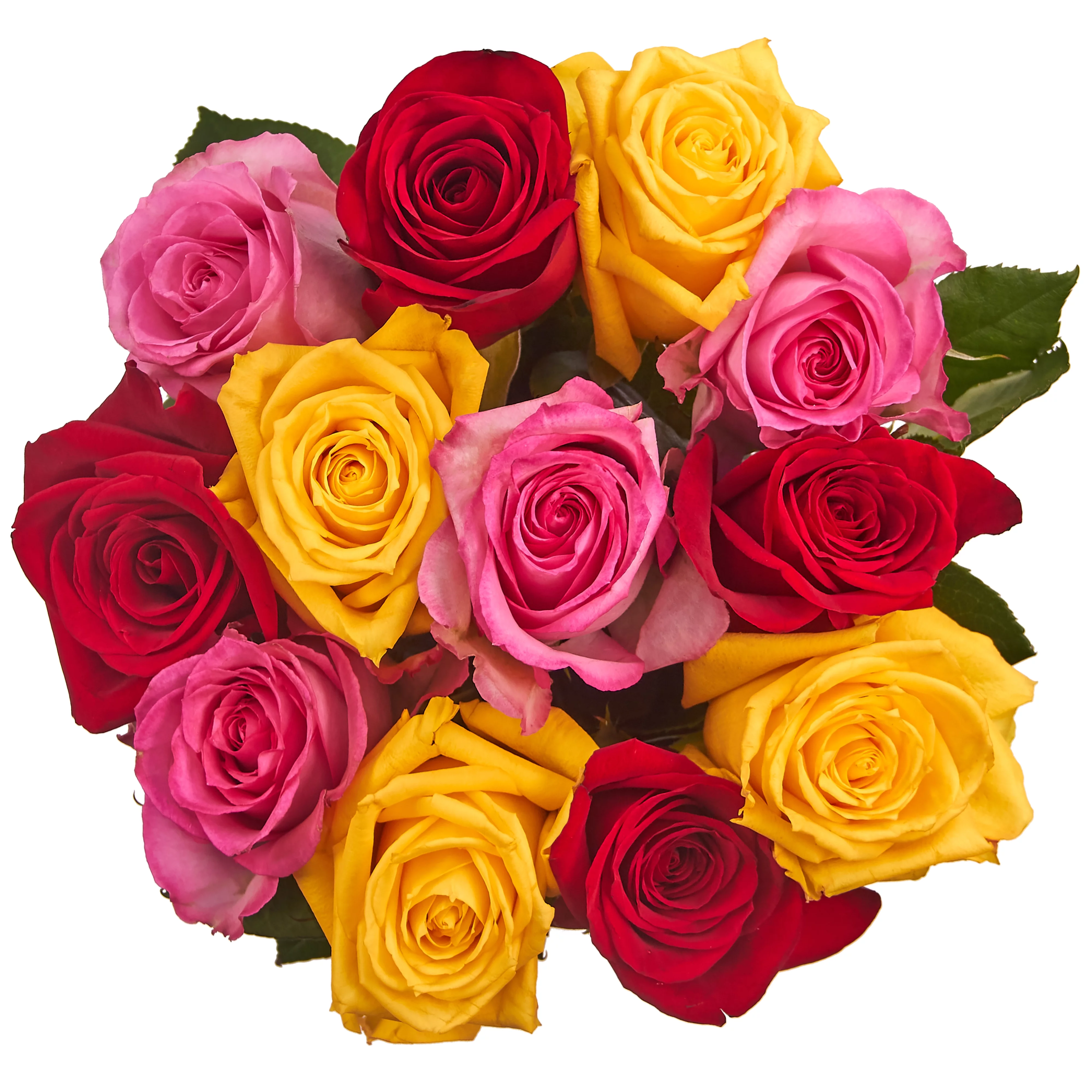 Fresh-Cut Dozen Roses, 12 Stems Assorted Rainbow Colors, Colors Vary