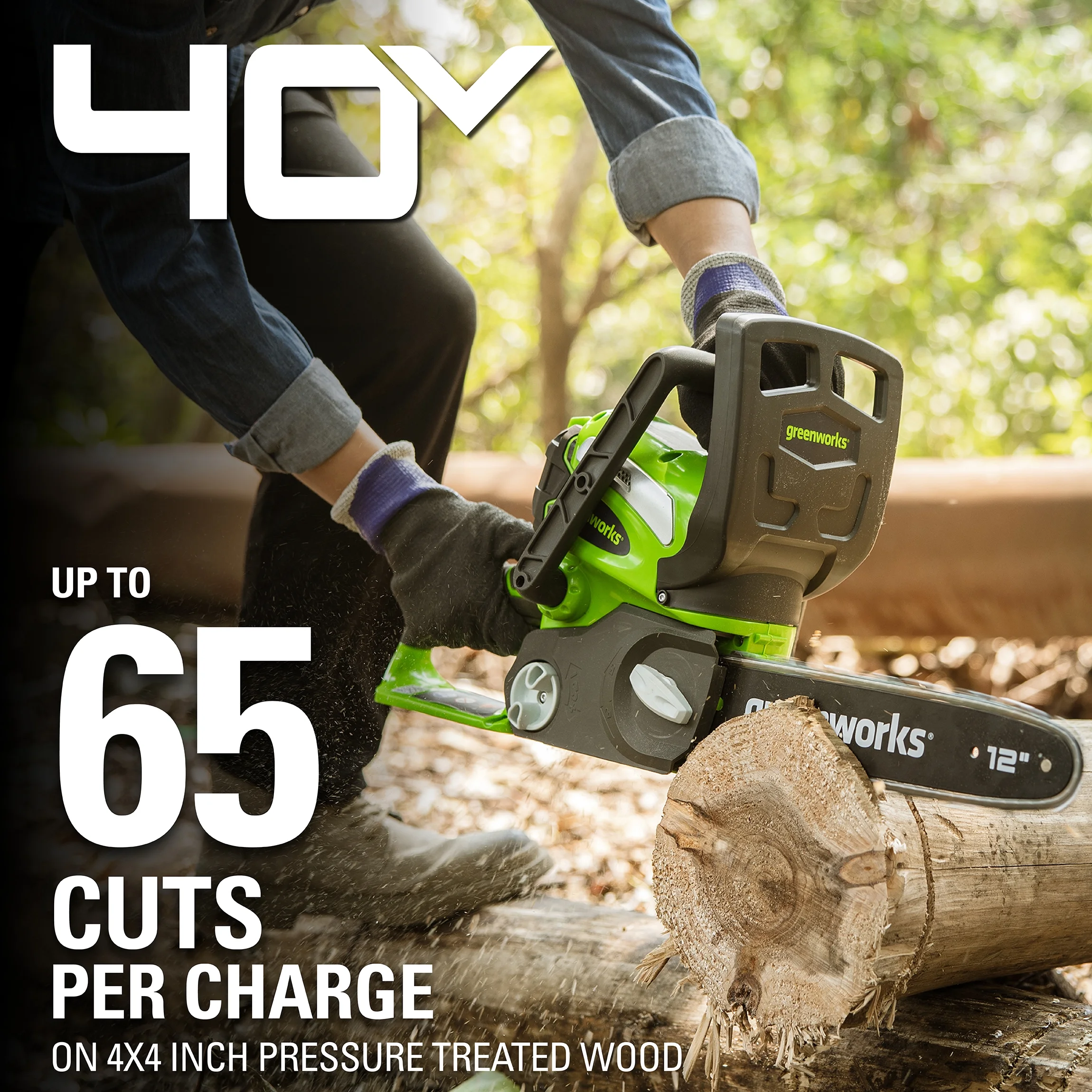 Greenworks 40V 12″ Cordless Chainsaw with 2.0 Ah Battery & Charger, 20262