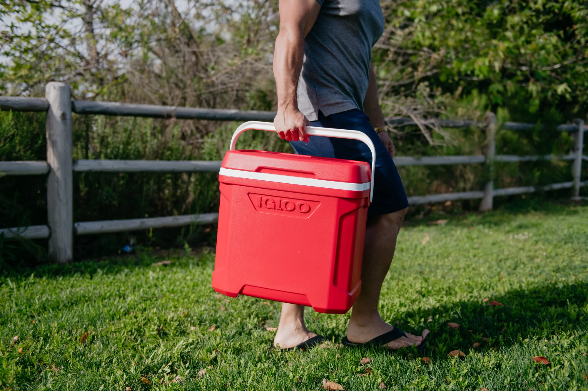 Igloo 30 qt. Profile II Series Ice Chest Cooler – Red