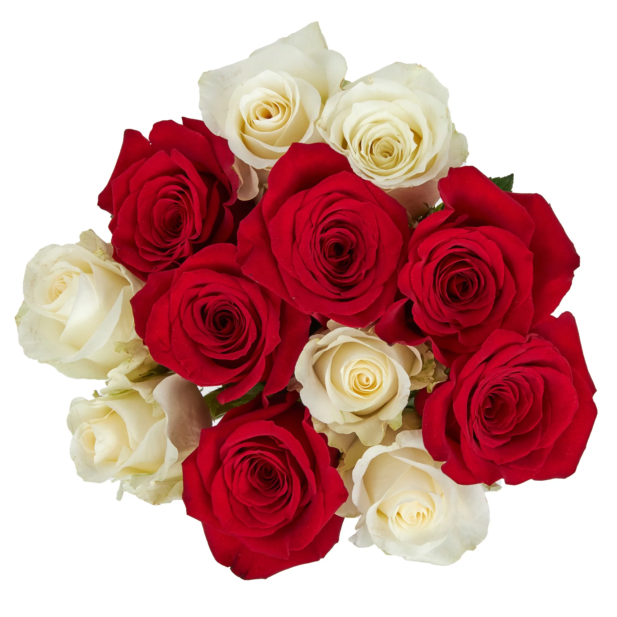 Fresh-Cut Dozen Roses, 12 Stems Assorted Rainbow Colors, Colors Vary