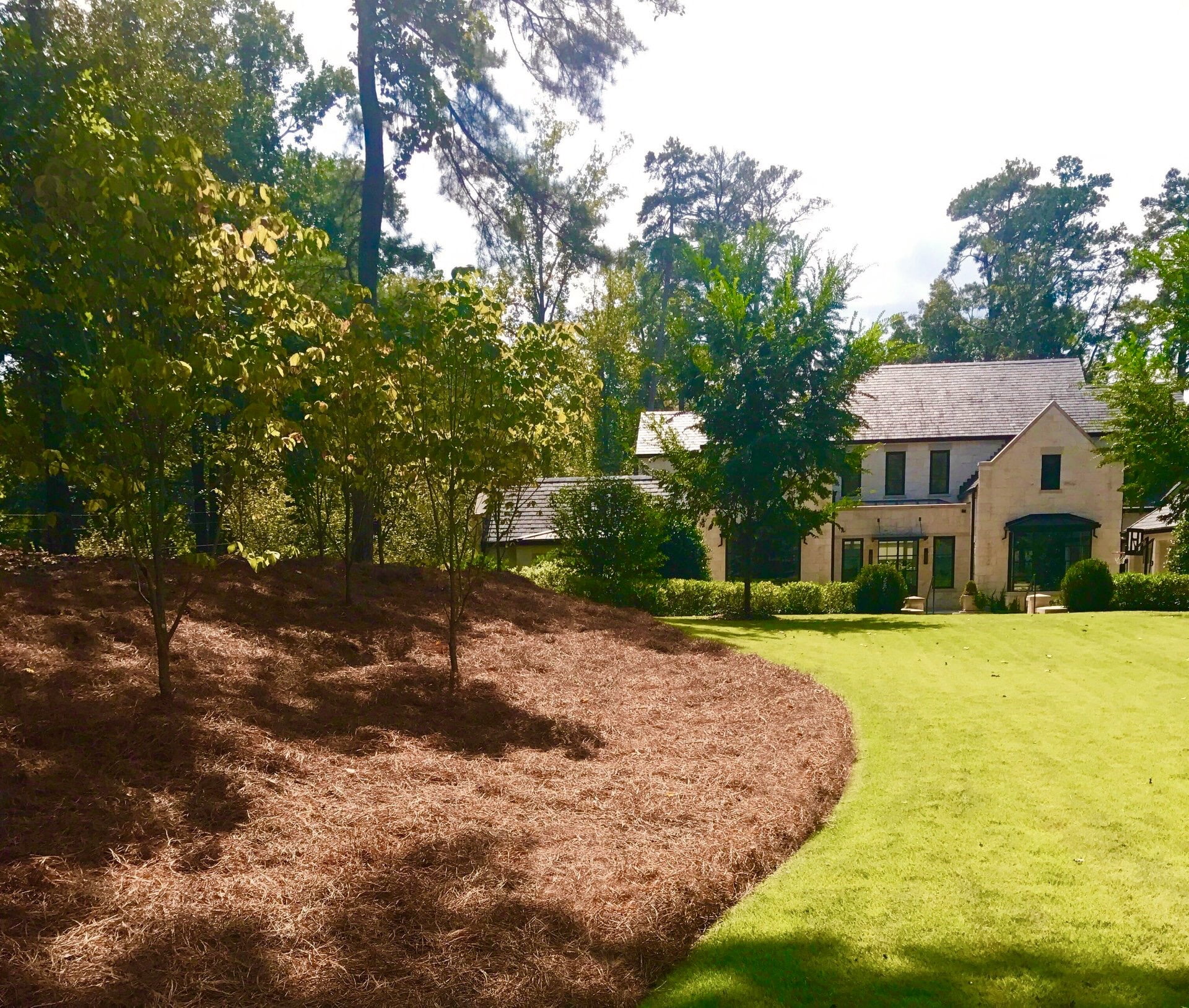 Premium Long Needle | Pine Straw Mulch | 300 Sqft