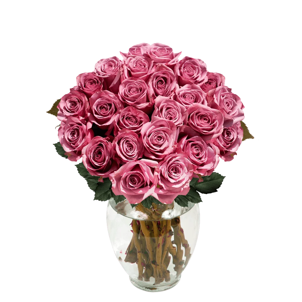 One Dozen Pink Roses- Fresh Flower Delivery