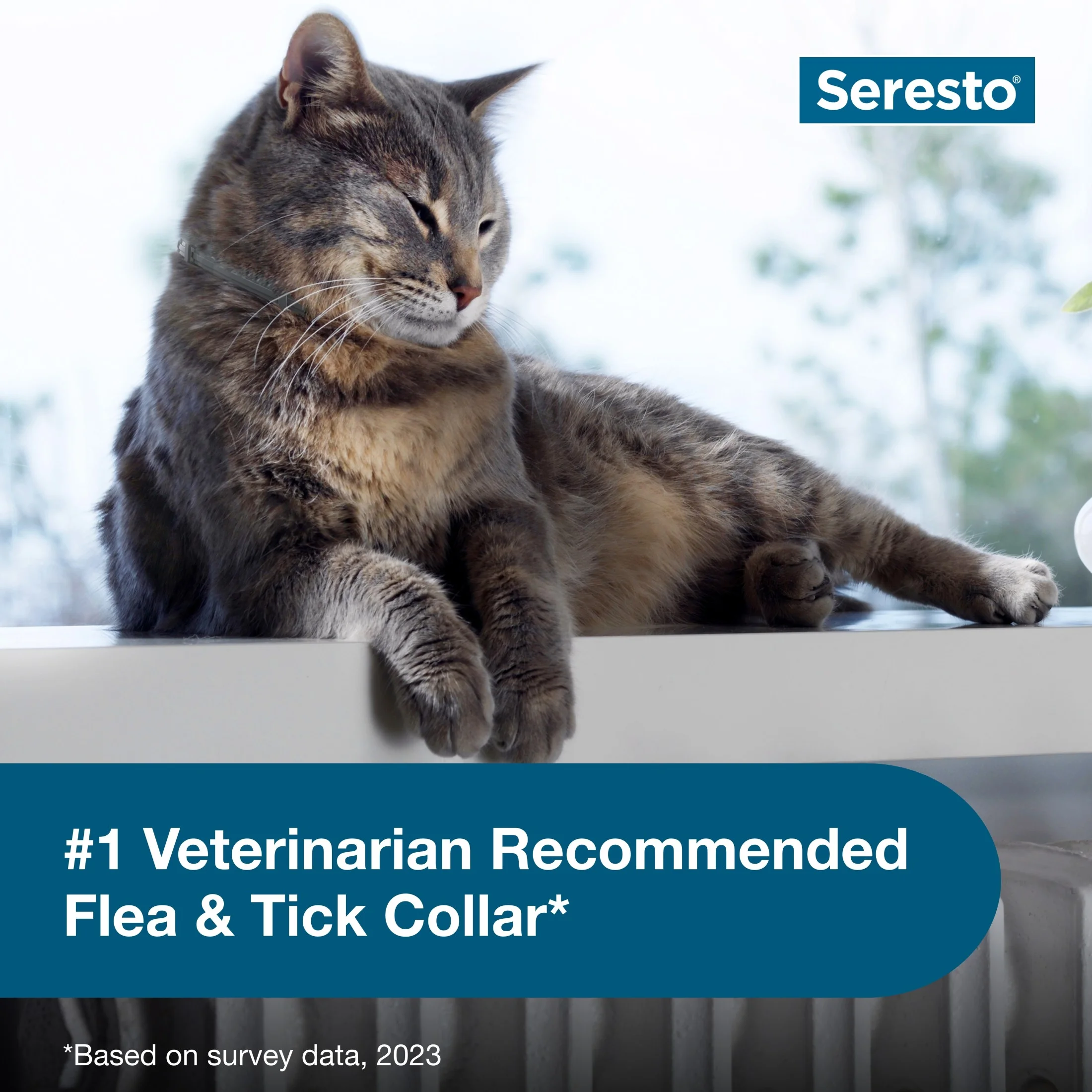 Seresto for Cats 8-Month Flea and Tick Prevention Collar