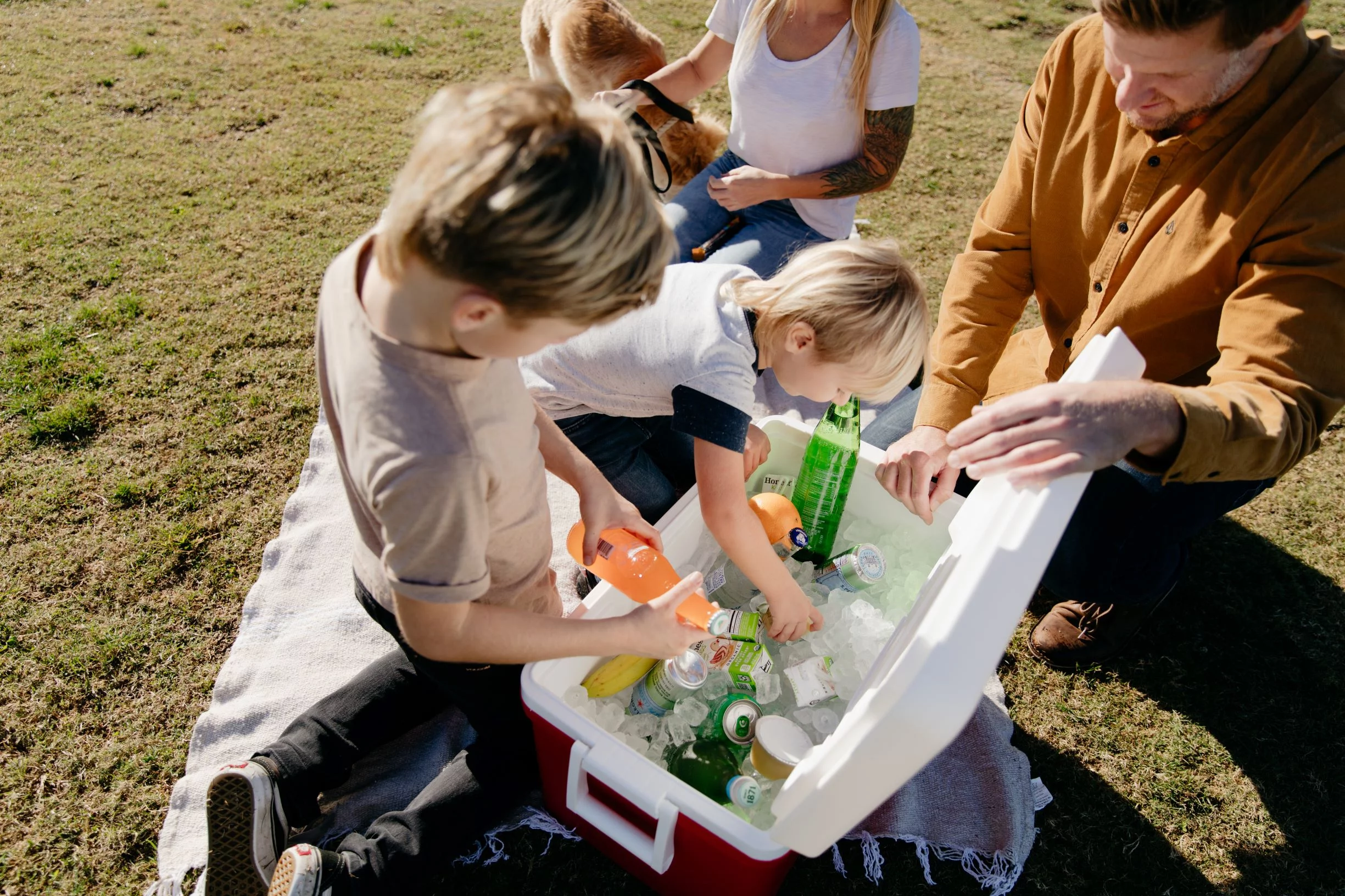 Igloo 48 QT Laguna Ice Chest Cooler, Red